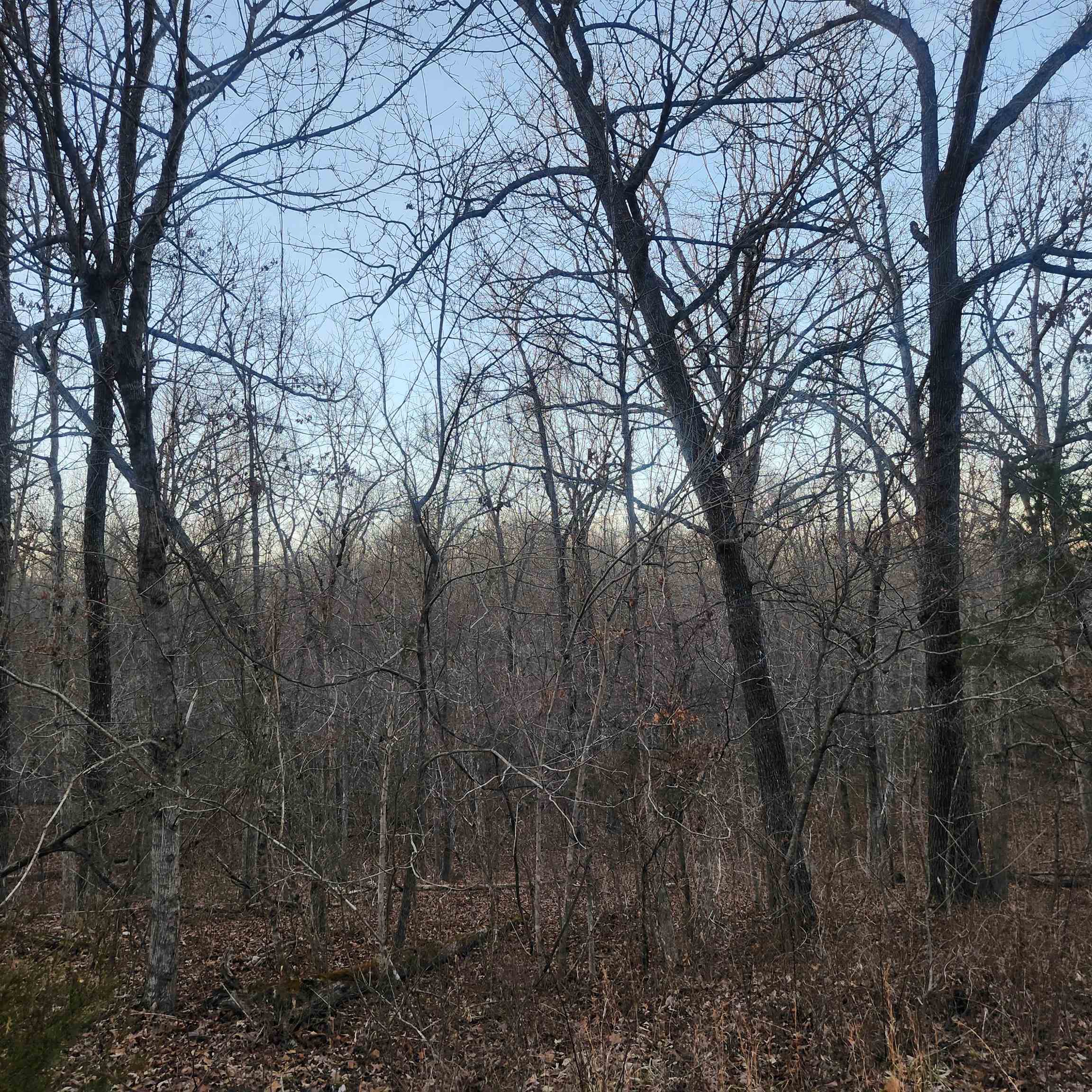 L-08, B-24 Piegan  Cherokee Village, AR