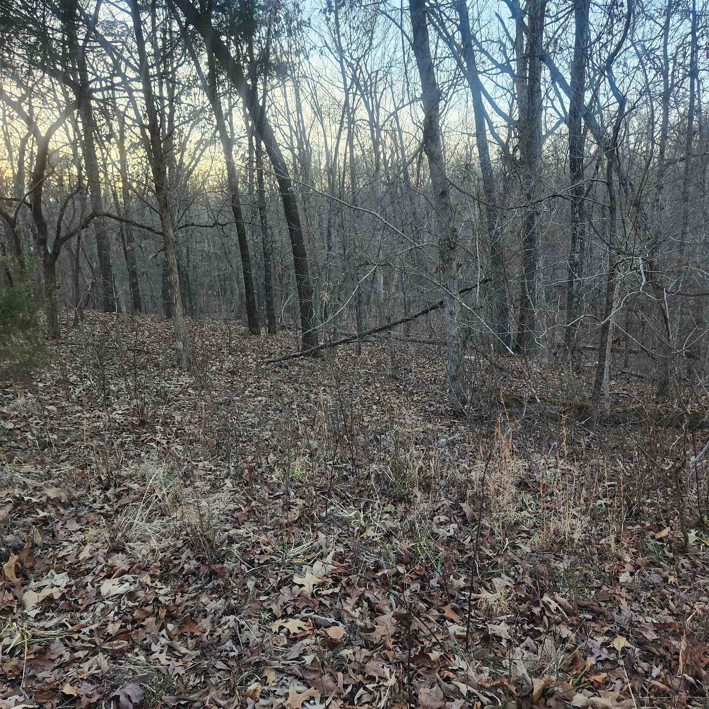 L-08, B-24 Piegan  Cherokee Village, AR