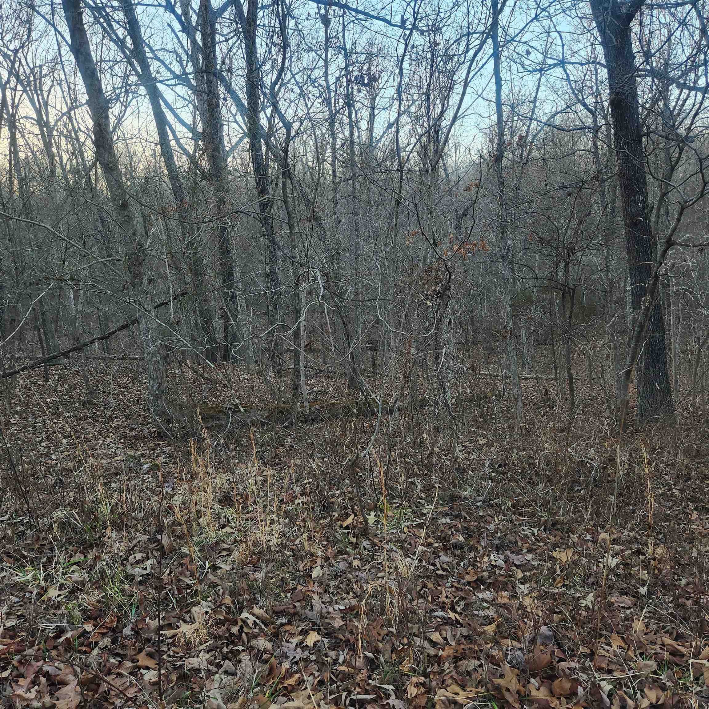 L-08, B-24 Piegan  Cherokee Village, AR