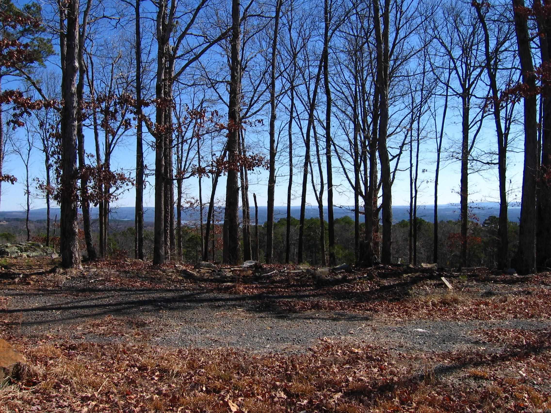 133 Osage Point  Fairfield Bay, AR