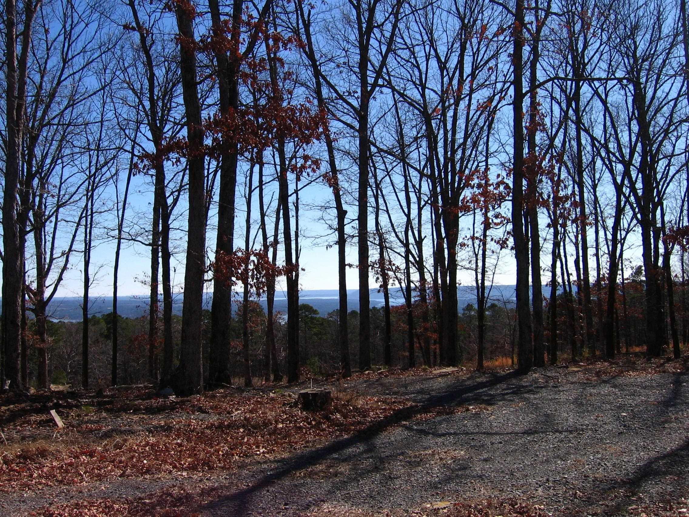 133 Osage Point  Fairfield Bay, AR