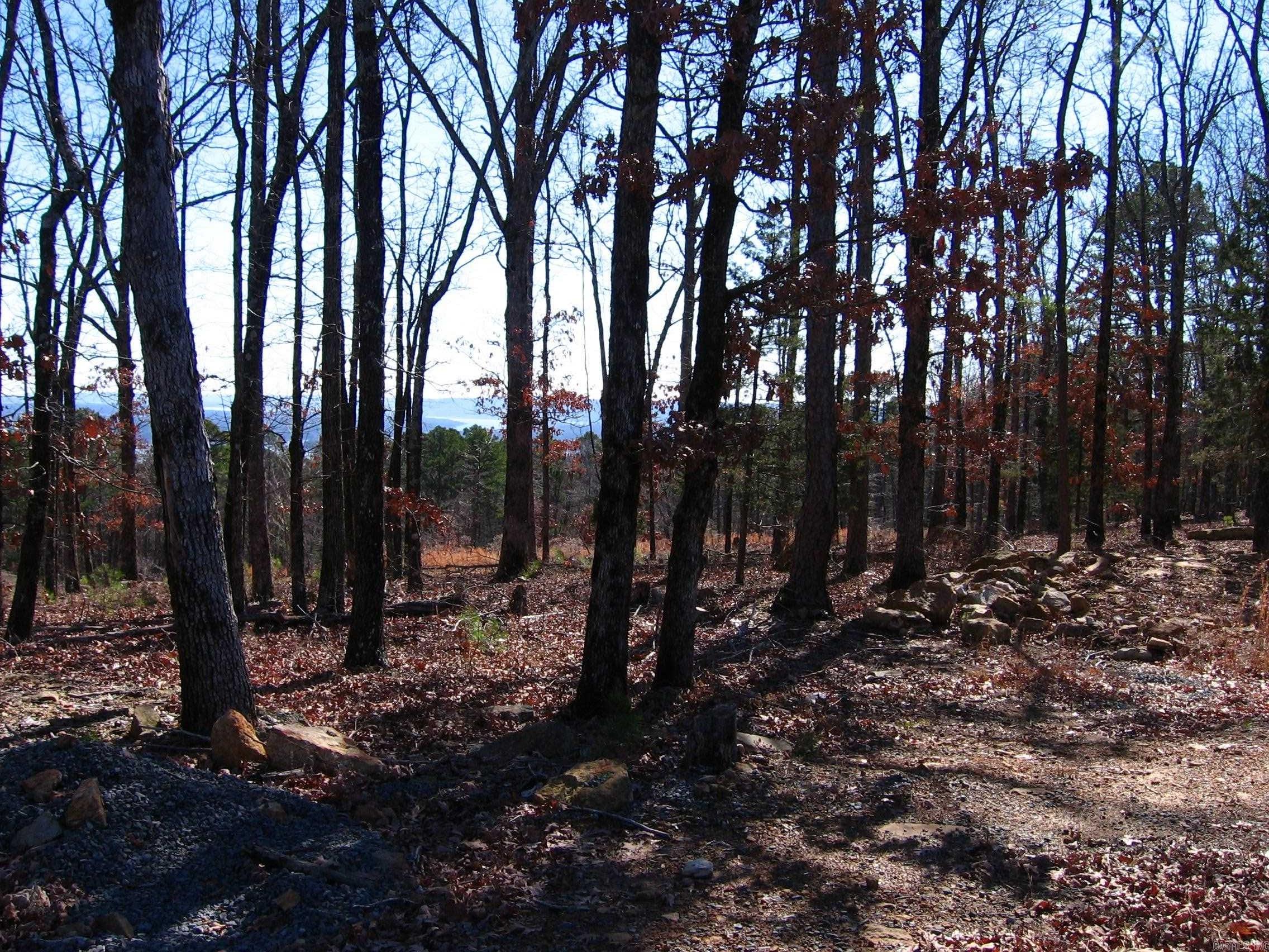 135 Osage Point  Fairfield Bay, AR