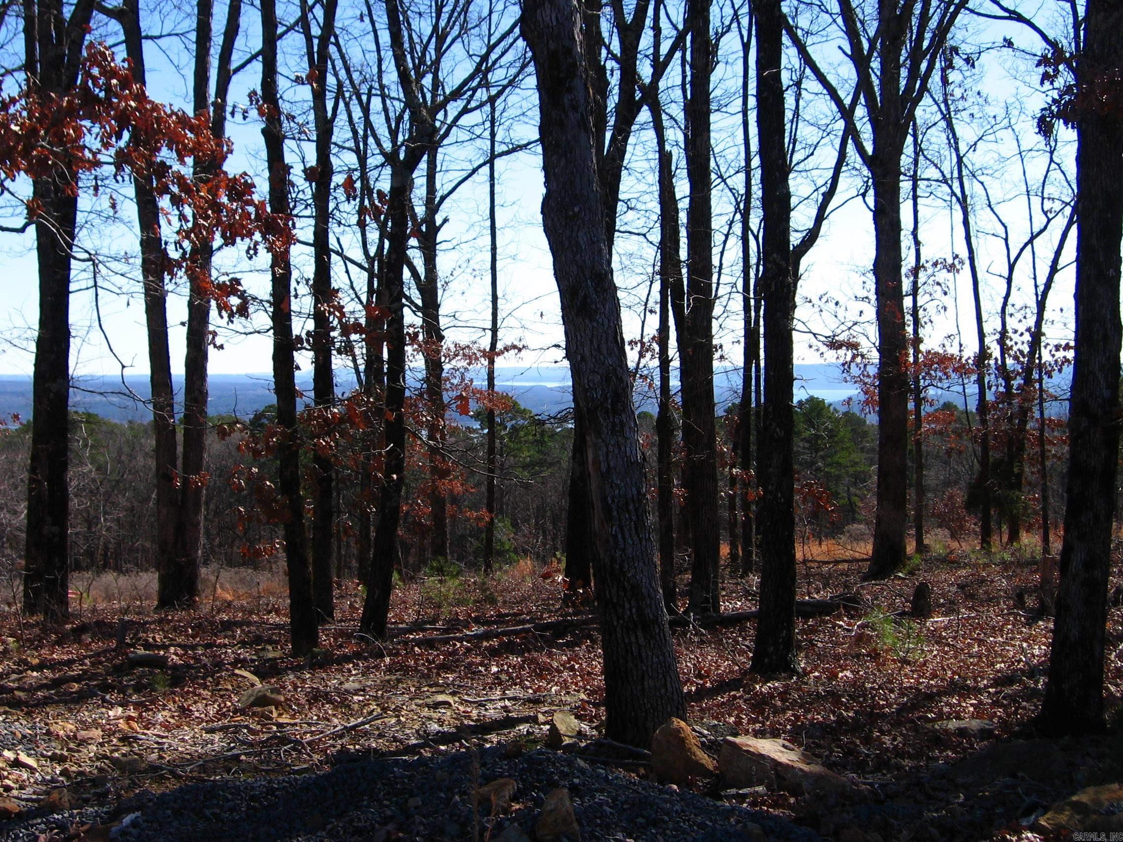 135 Osage Point  Fairfield Bay, AR