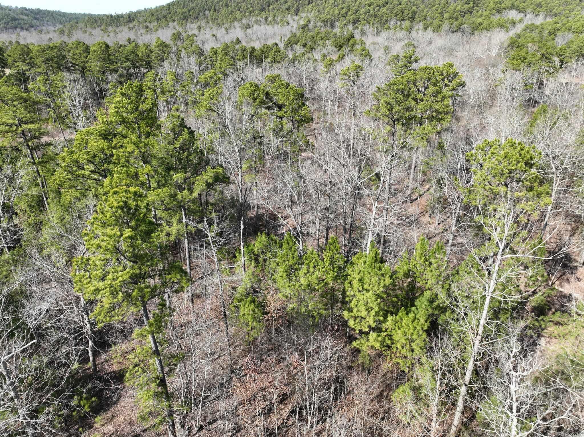 Tract 11 Big Fork Mountain Valley Lane