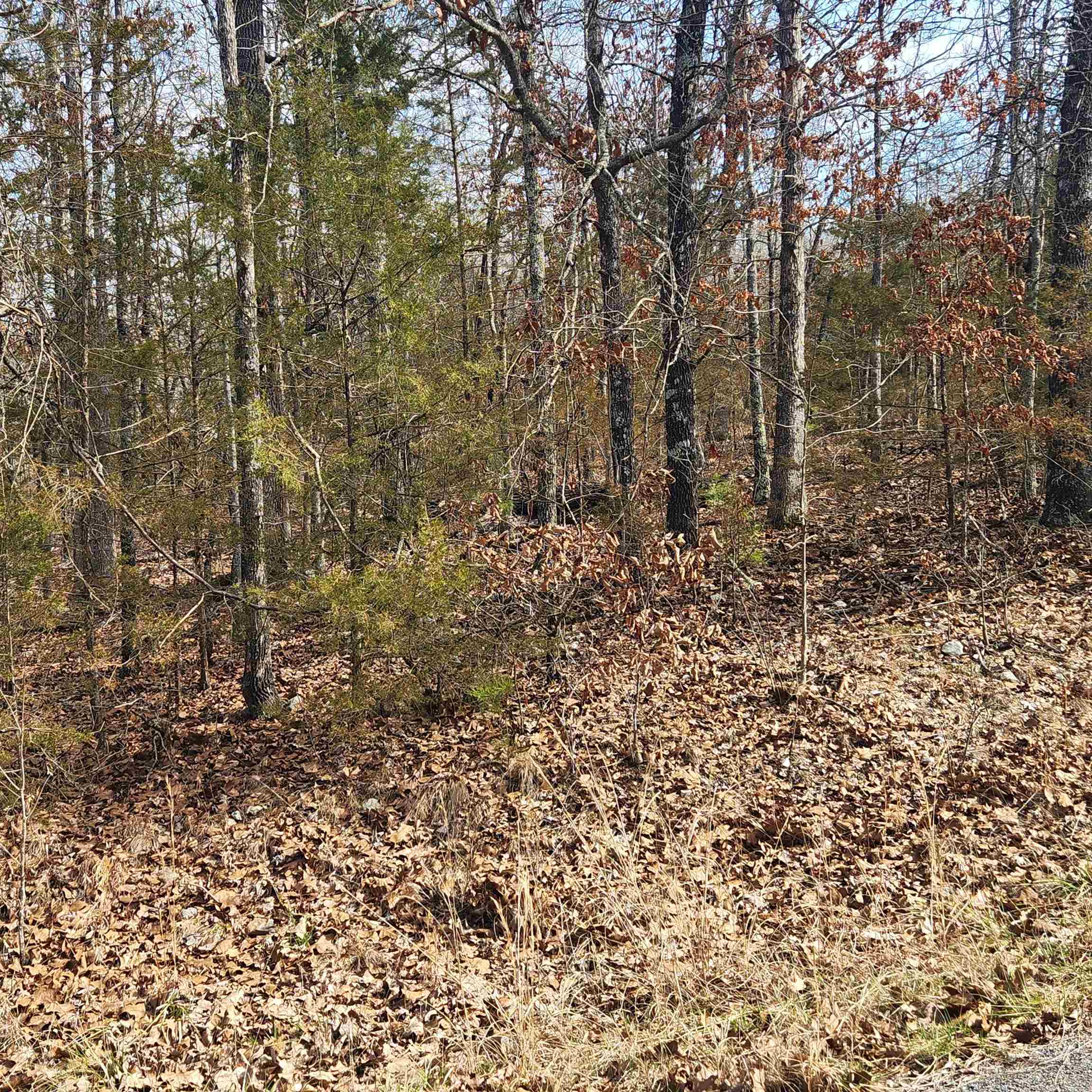 L10 B02 Awi  Cherokee Village, AR