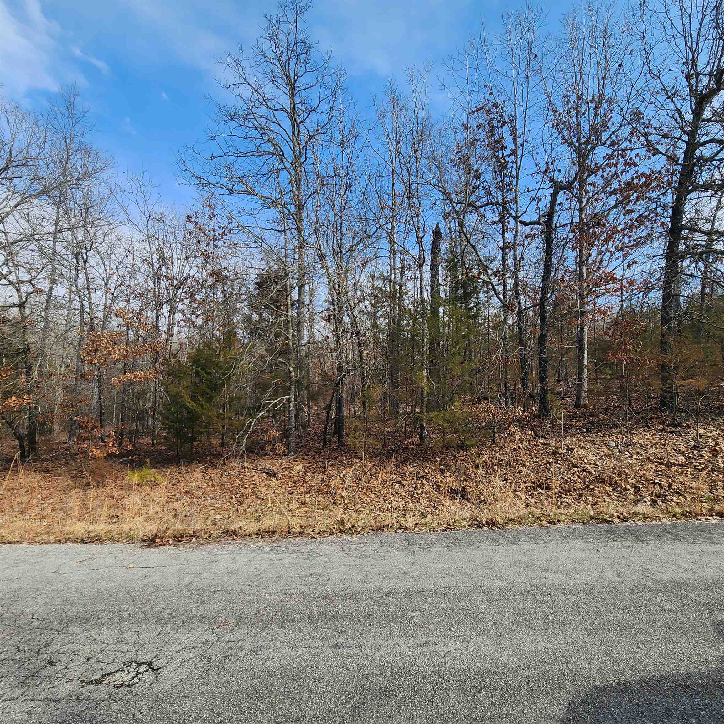 L10 B02 Awi  Cherokee Village, AR