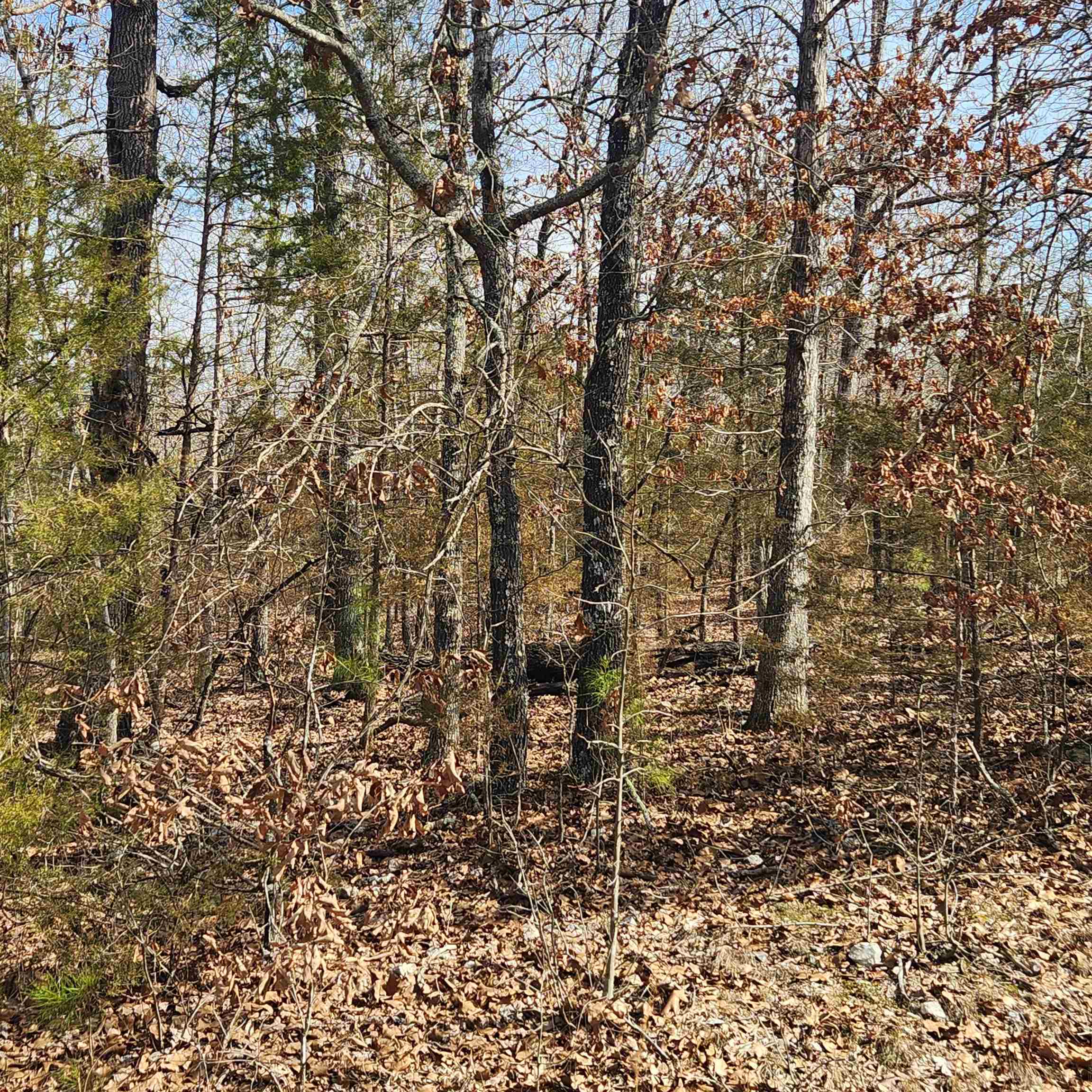 L10 B02 Awi  Cherokee Village, AR