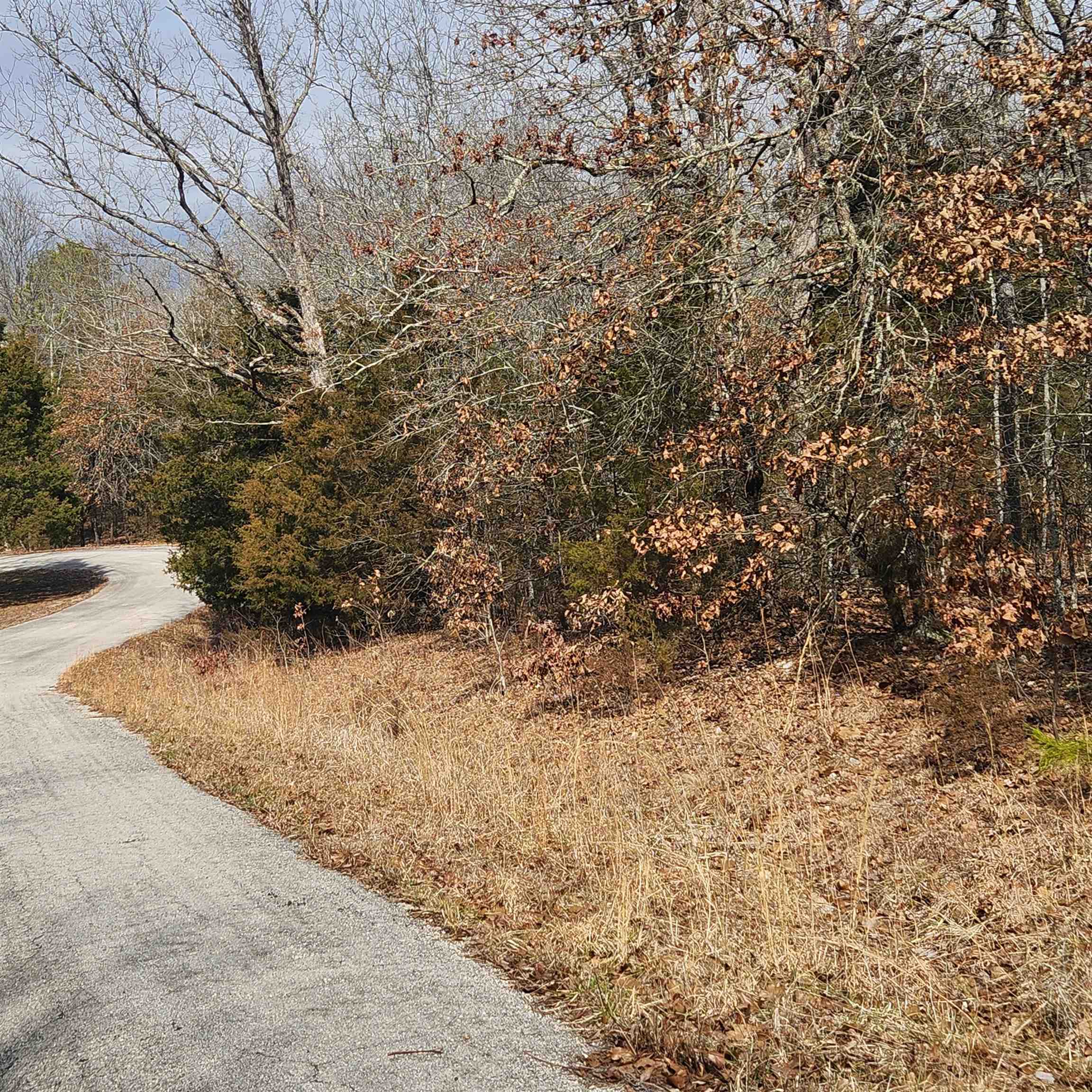 L10 B02 Awi  Cherokee Village, AR