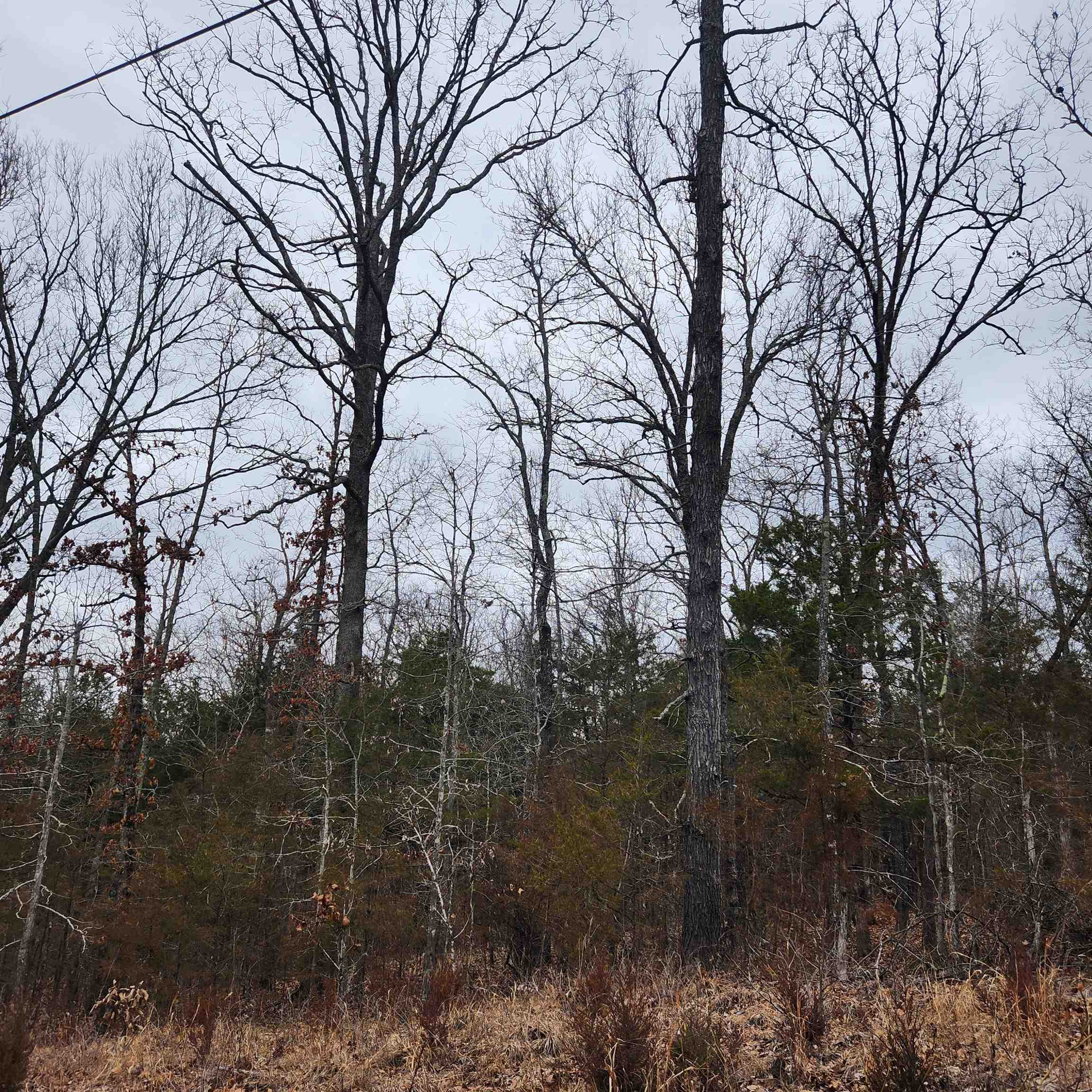 L10, B01 Hiawatha  Cherokee Village, AR