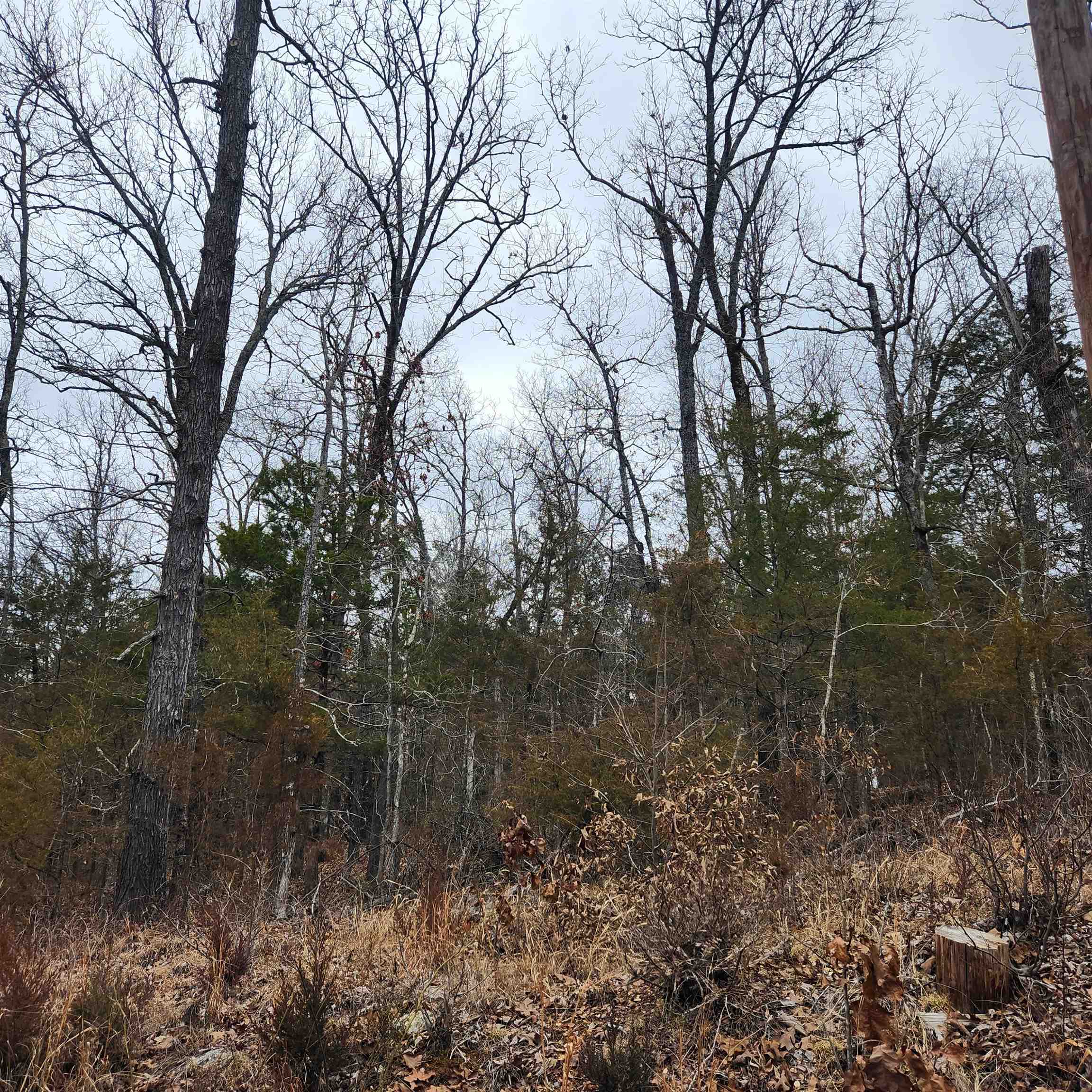 L10, B01 Hiawatha  Cherokee Village, AR