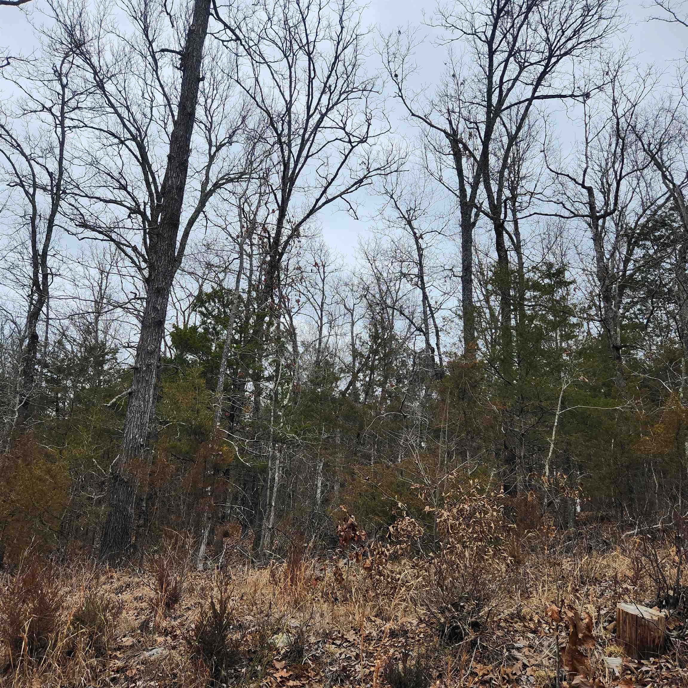 L10, B01 Hiawatha  Cherokee Village, AR