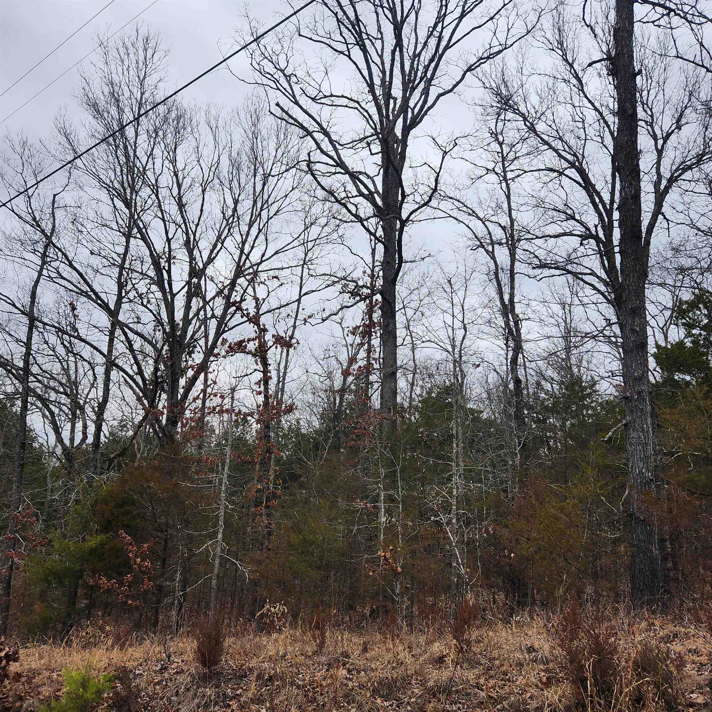 L10, B01 Hiawatha  Cherokee Village, AR