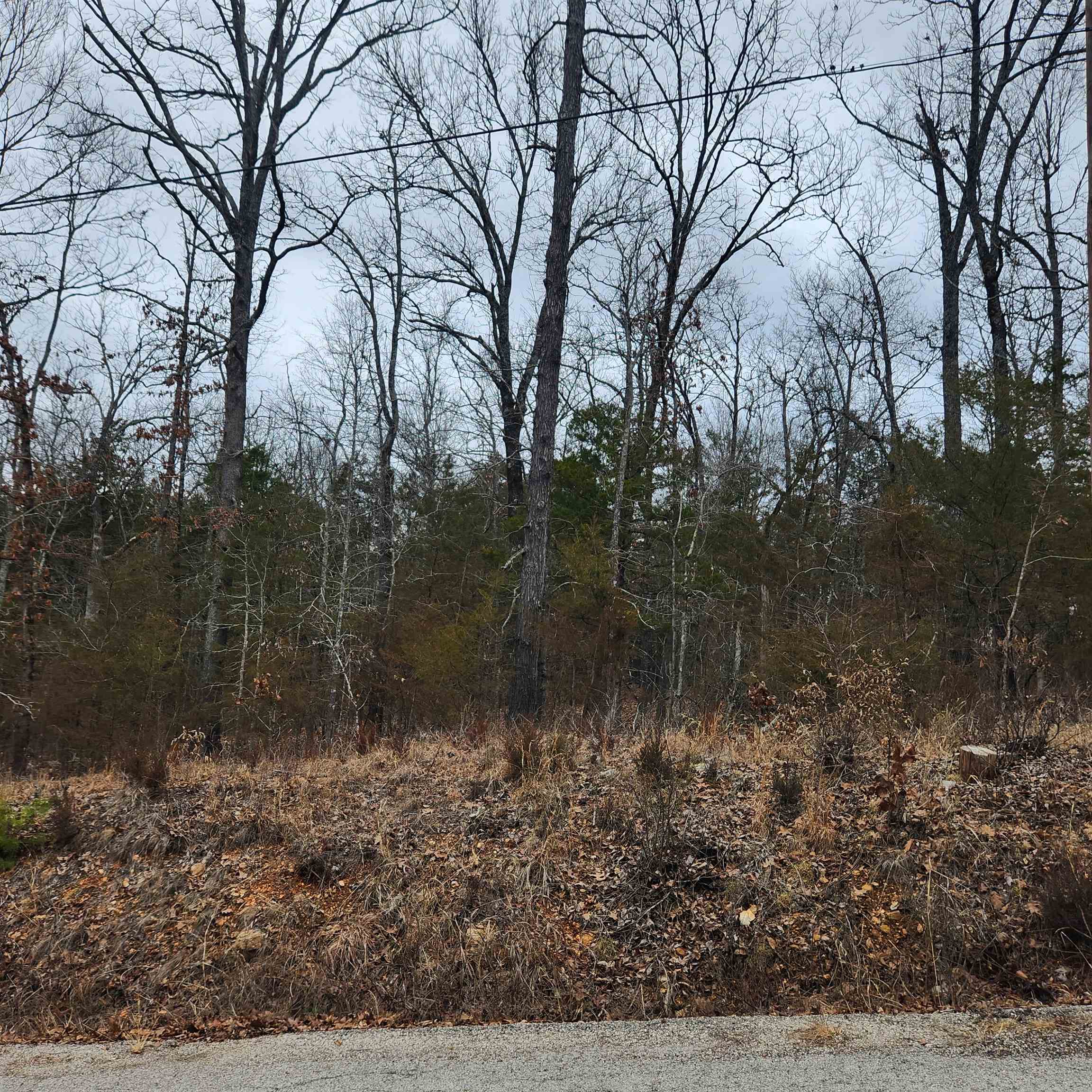 L10, B01 Hiawatha  Cherokee Village, AR