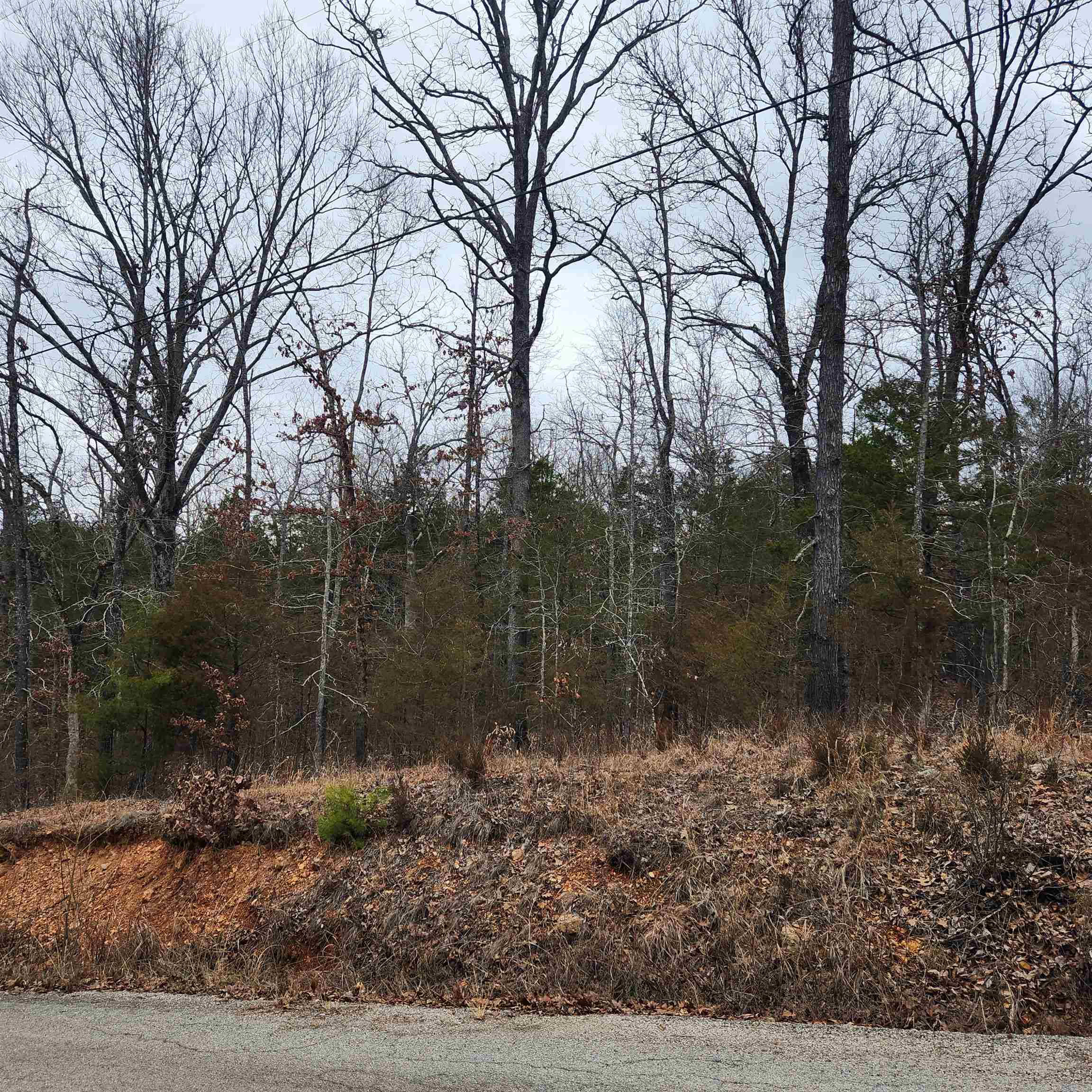 L10, B01 Hiawatha  Cherokee Village, AR