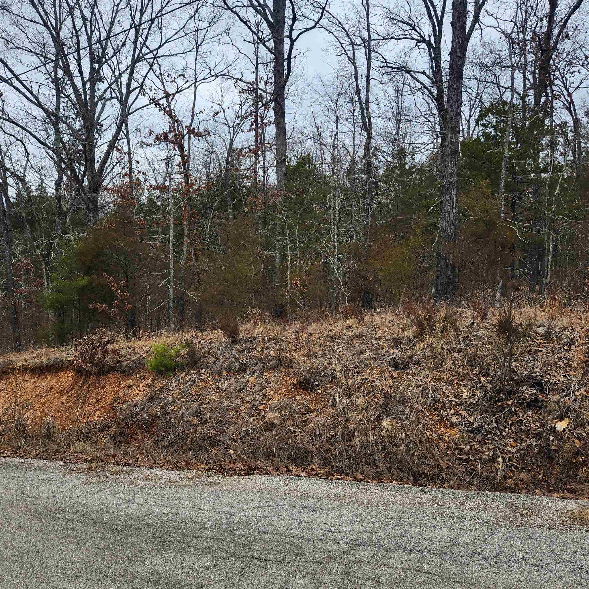 L10, B01 Hiawatha  Cherokee Village, AR