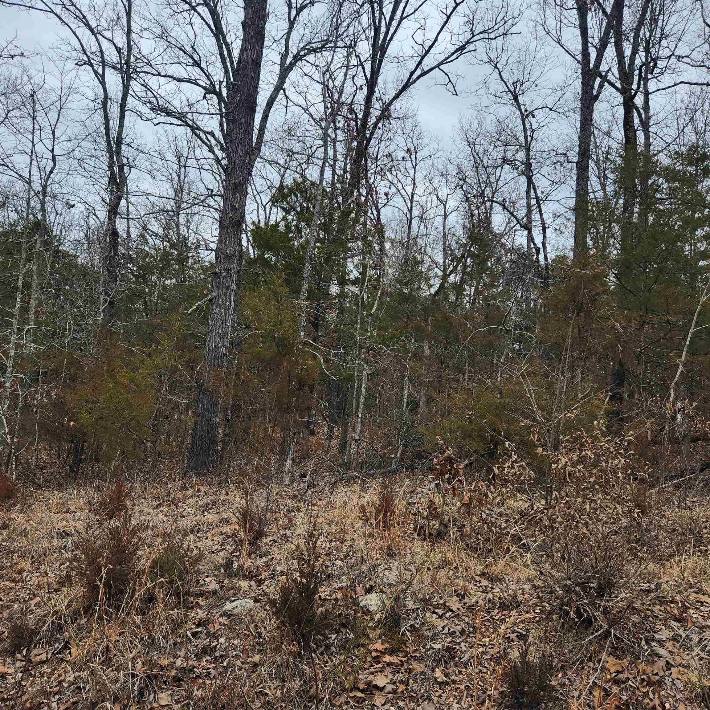 L10, B01 Hiawatha  Cherokee Village, AR