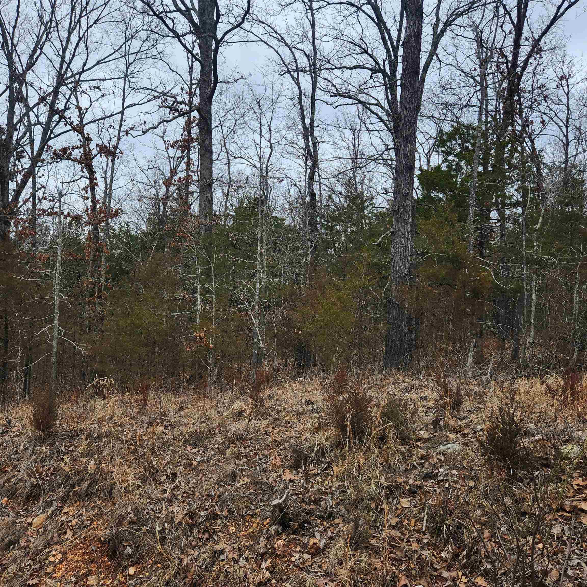 L10, B01 Hiawatha  Cherokee Village, AR