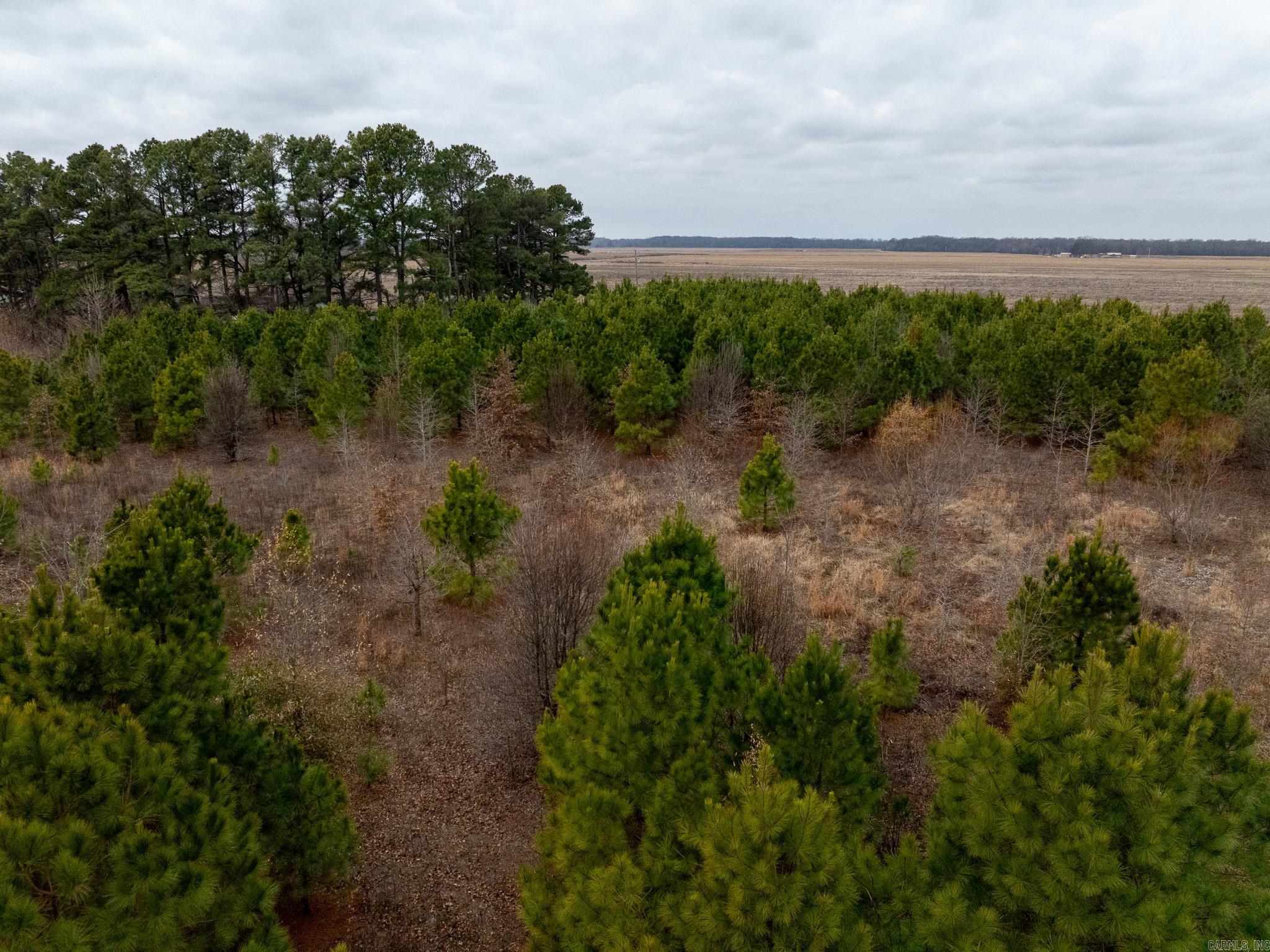 000 Woodruff CR 361  McCrory, AR