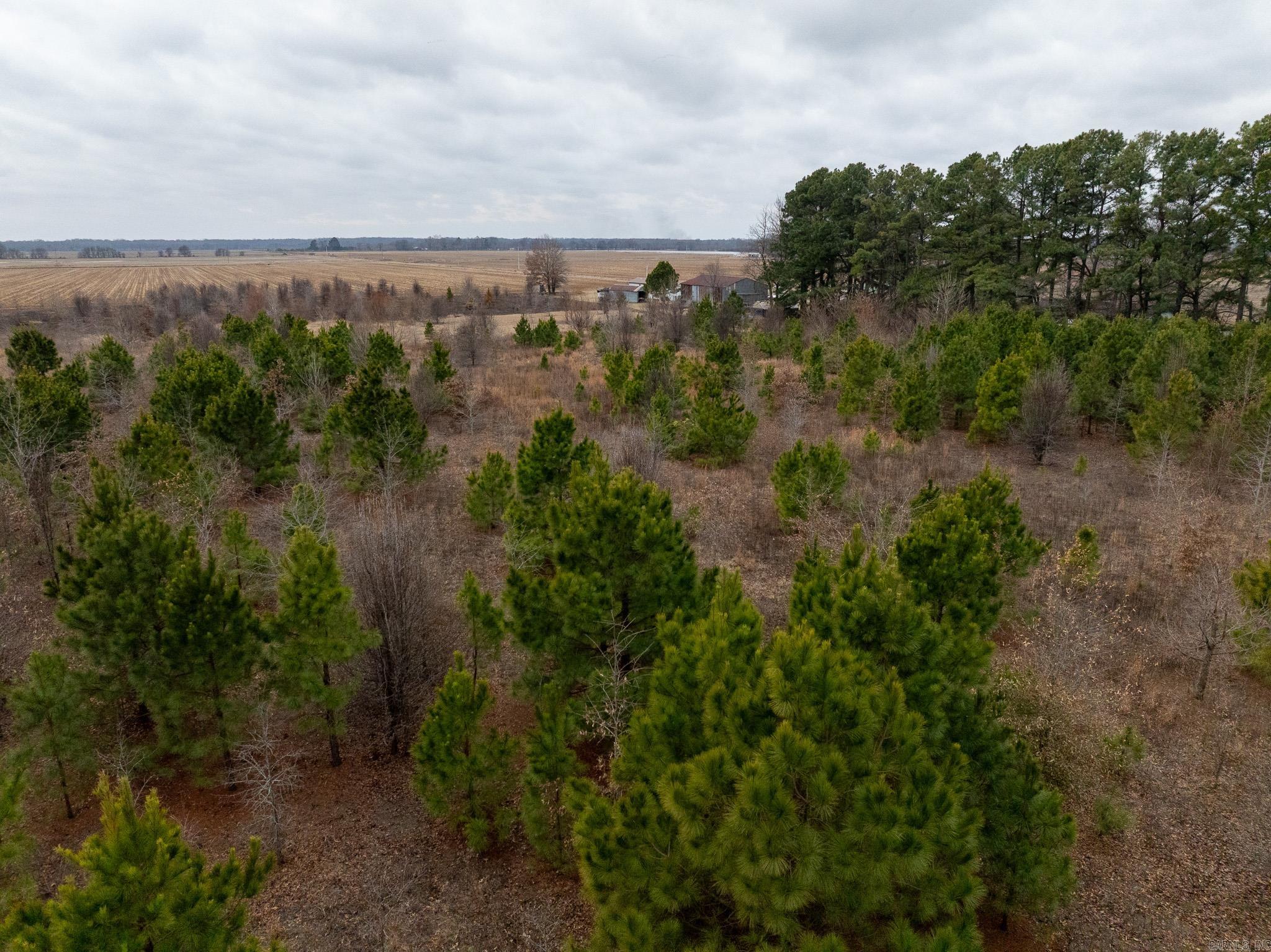 000 Woodruff CR 361  McCrory, AR