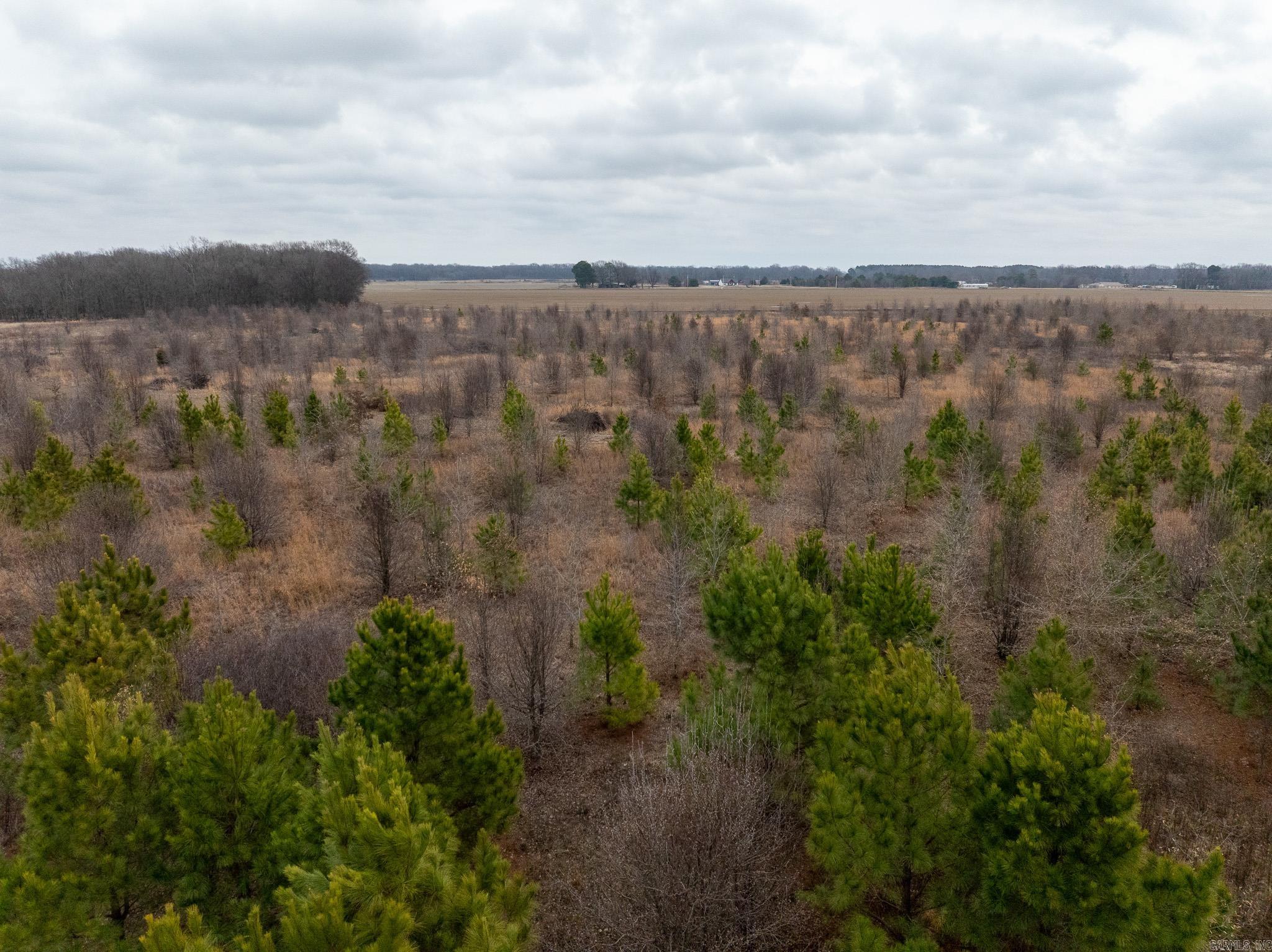 000 Woodruff CR 361  McCrory, AR