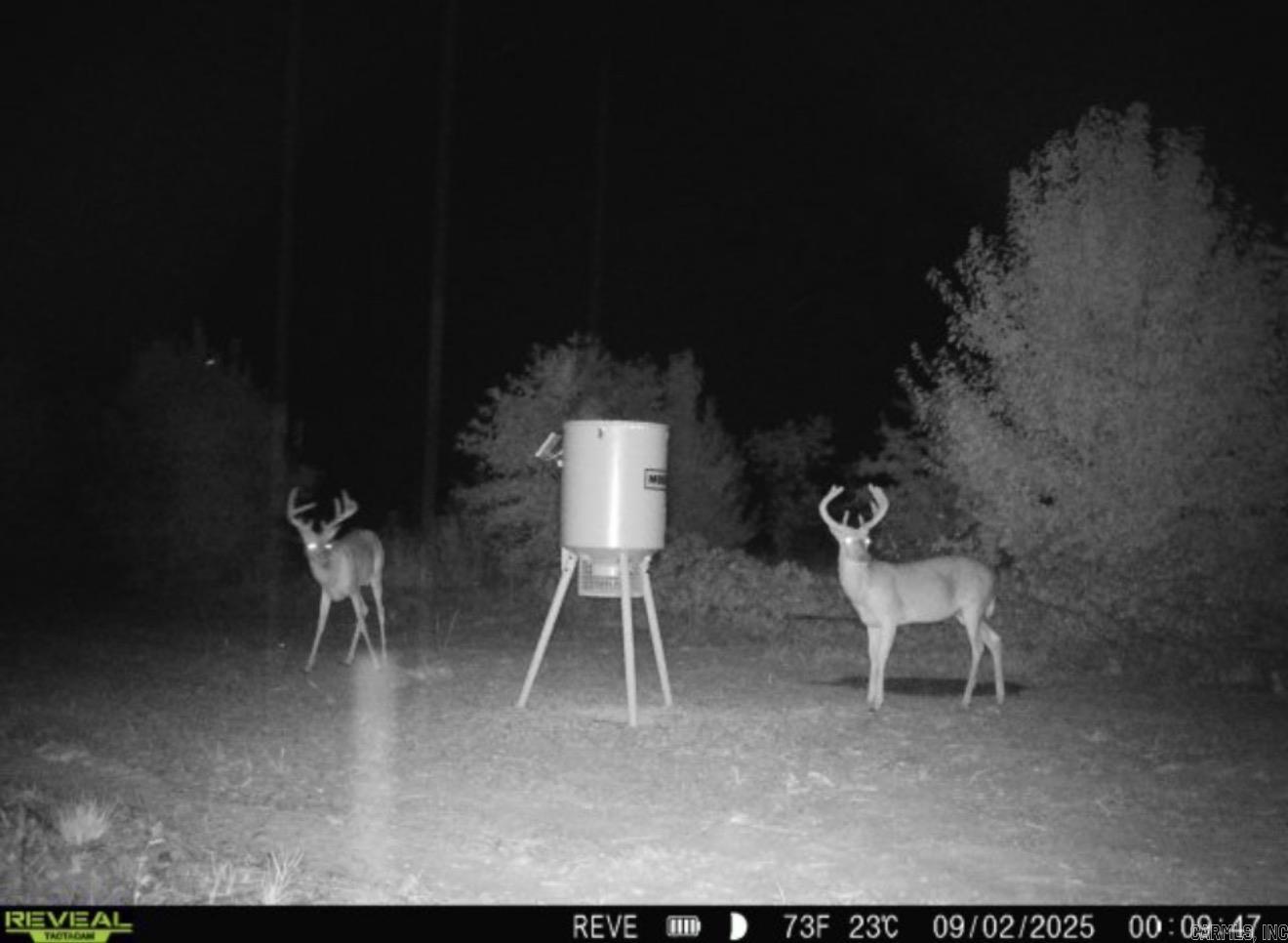 000 Woodruff CR 361  McCrory, AR