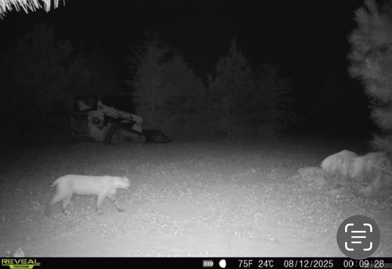 000 Woodruff CR 361  McCrory, AR