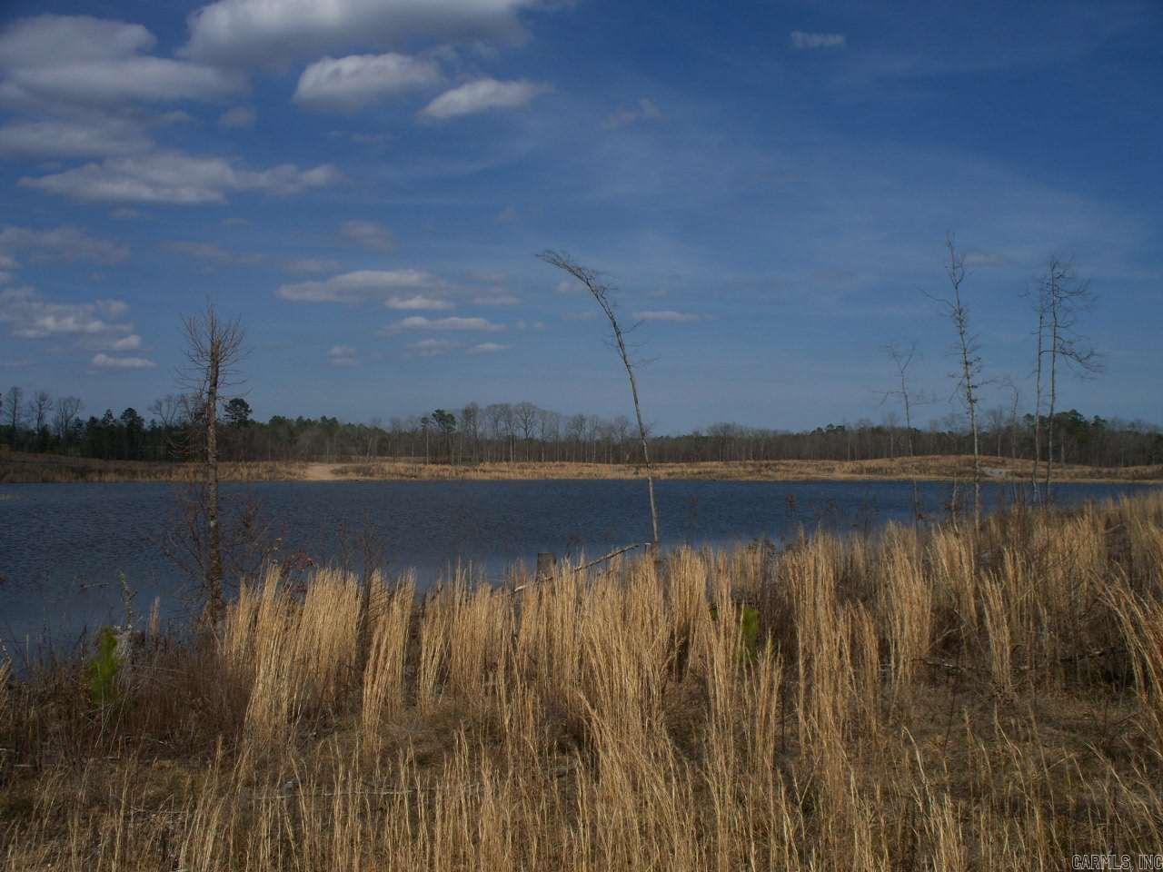 Lot 12 Snorting Buffalo  Hot Springs, AR