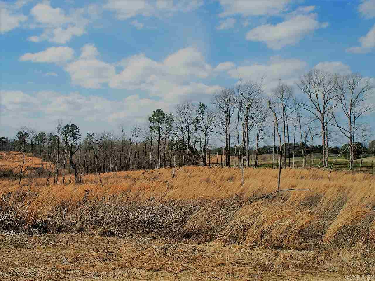 Lot 12 Snorting Buffalo  Hot Springs, AR