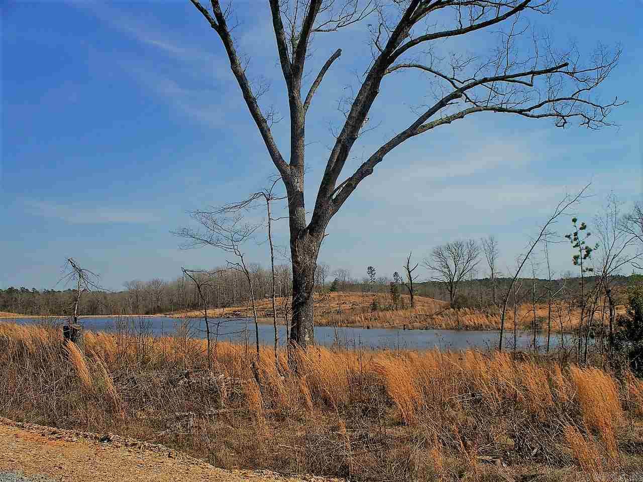 Lot 12 Snorting Buffalo  Hot Springs, AR