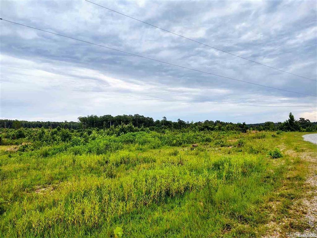 Lot 12 Snorting Buffalo  Hot Springs, AR