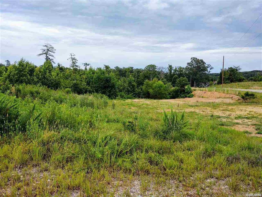 Lot 12 Snorting Buffalo  Hot Springs, AR