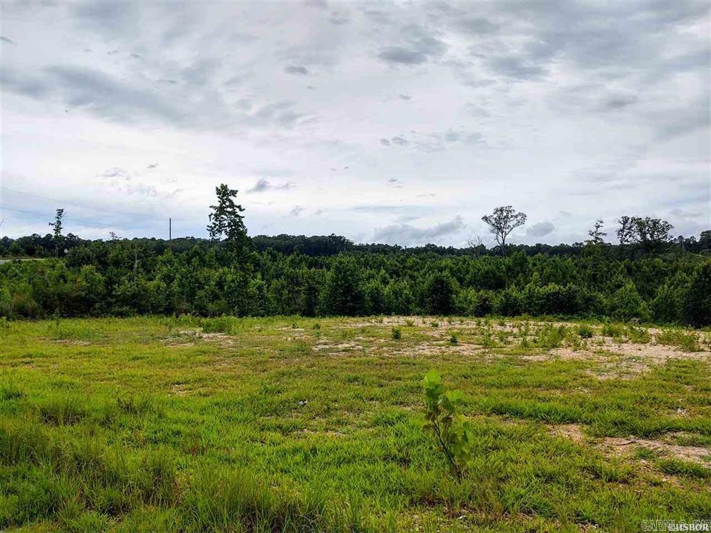 Lot 12 Snorting Buffalo  Hot Springs, AR