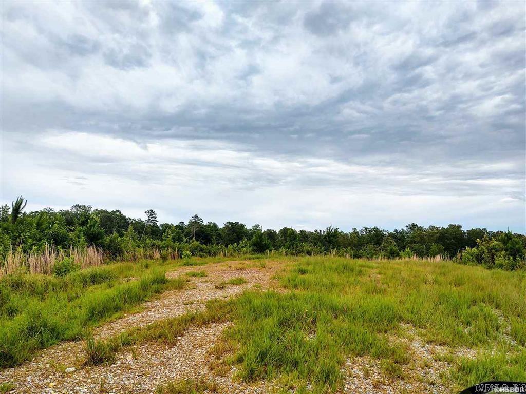 Lot 12 Snorting Buffalo  Hot Springs, AR