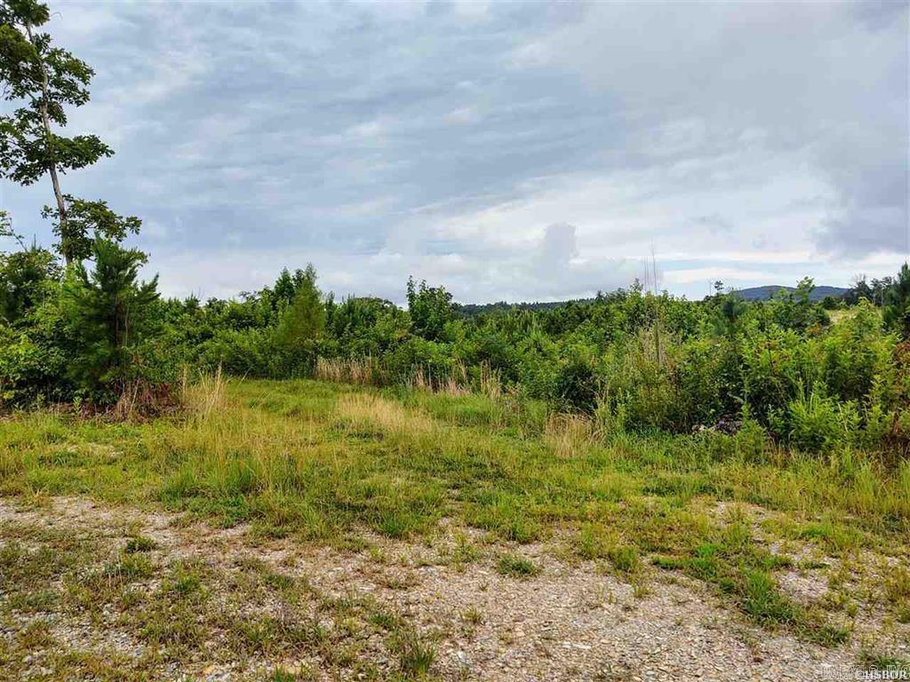 Lot 12 Snorting Buffalo  Hot Springs, AR