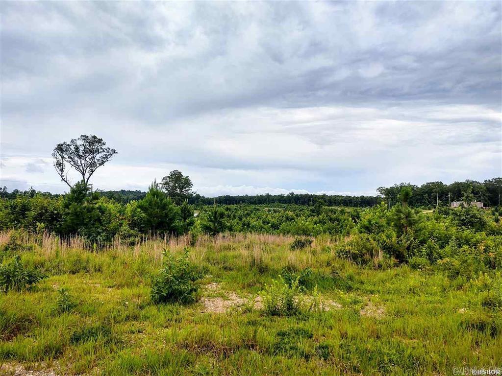 Lot 12 Snorting Buffalo  Hot Springs, AR