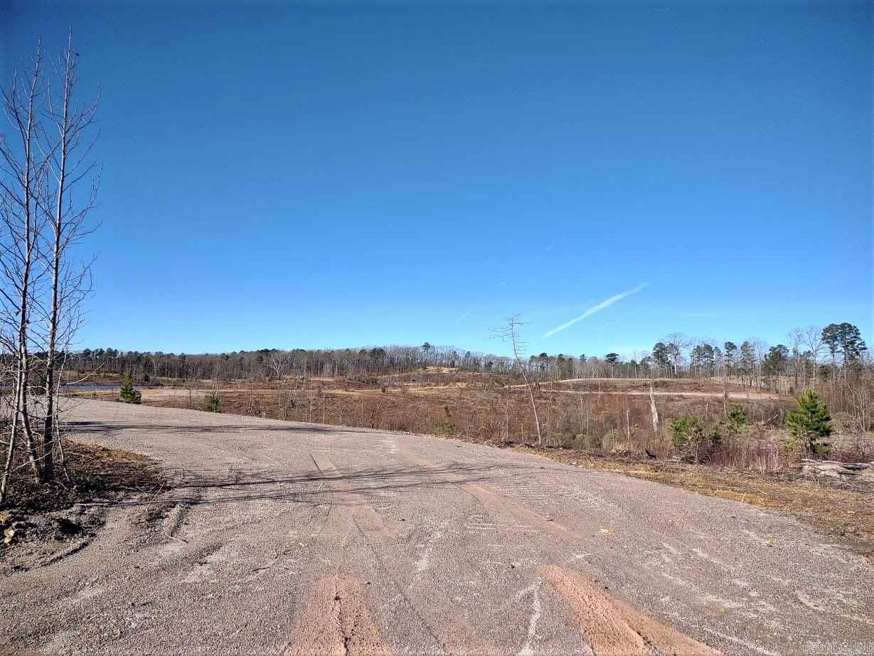 Lot 12 Snorting Buffalo  Hot Springs, AR