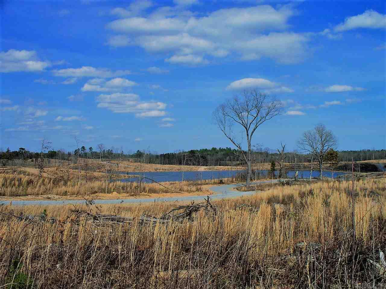 Lot 12 Snorting Buffalo  Hot Springs, AR