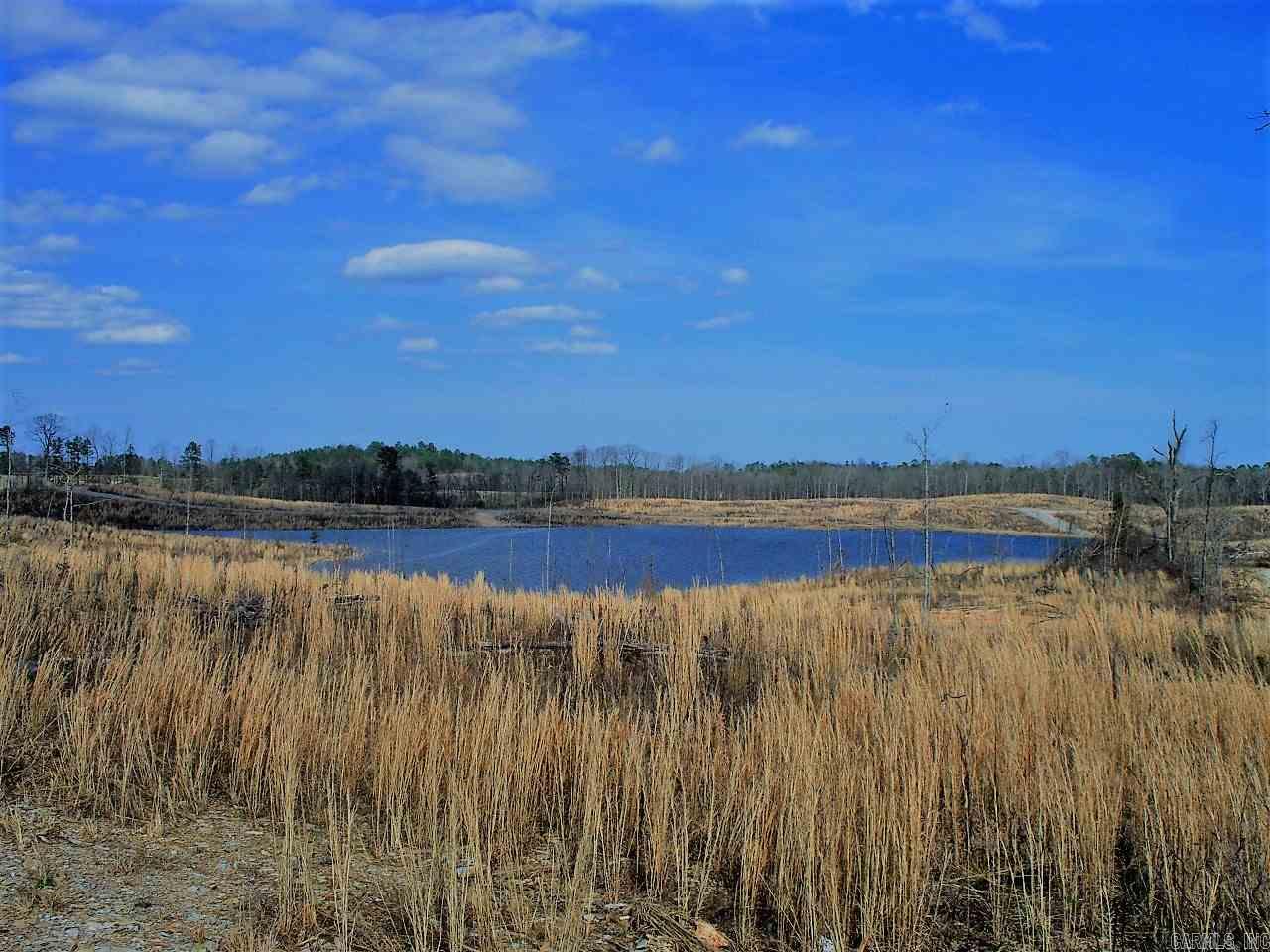 Lot 12 Snorting Buffalo  Hot Springs, AR