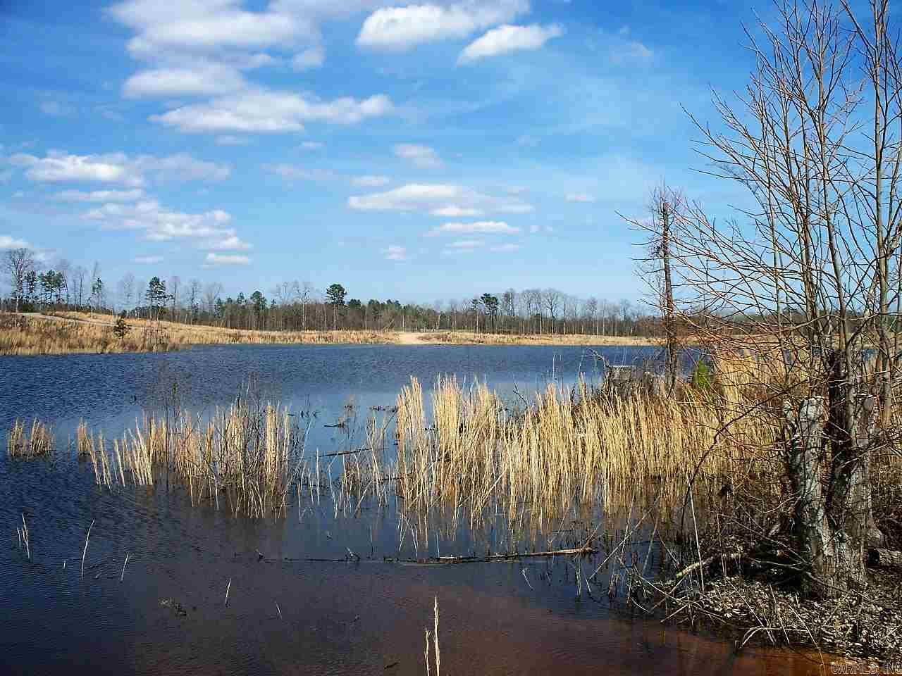 Lot 12 Snorting Buffalo  Hot Springs, AR