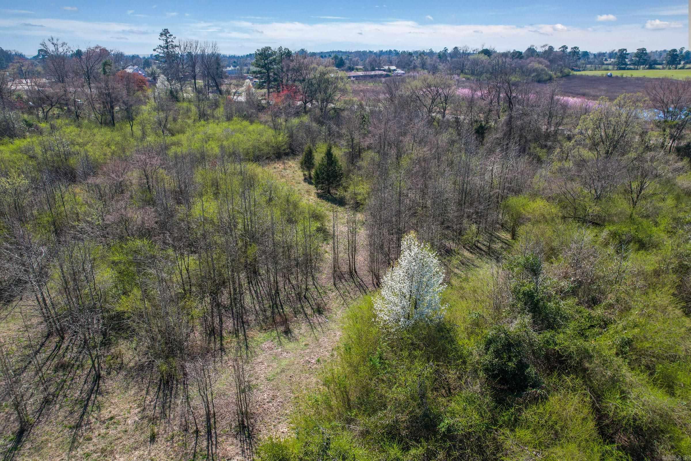 TBD Hwy 71 N  Gillham, AR