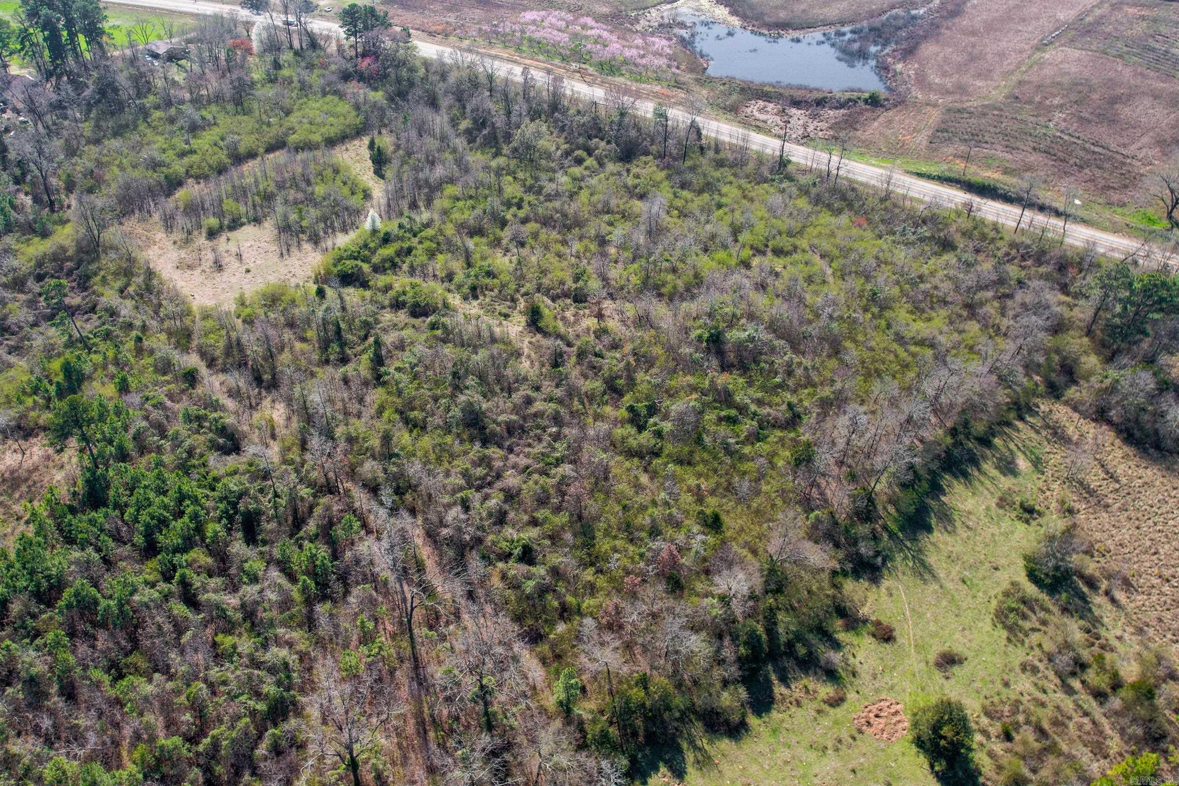 TBD Hwy 71 N  Gillham, AR