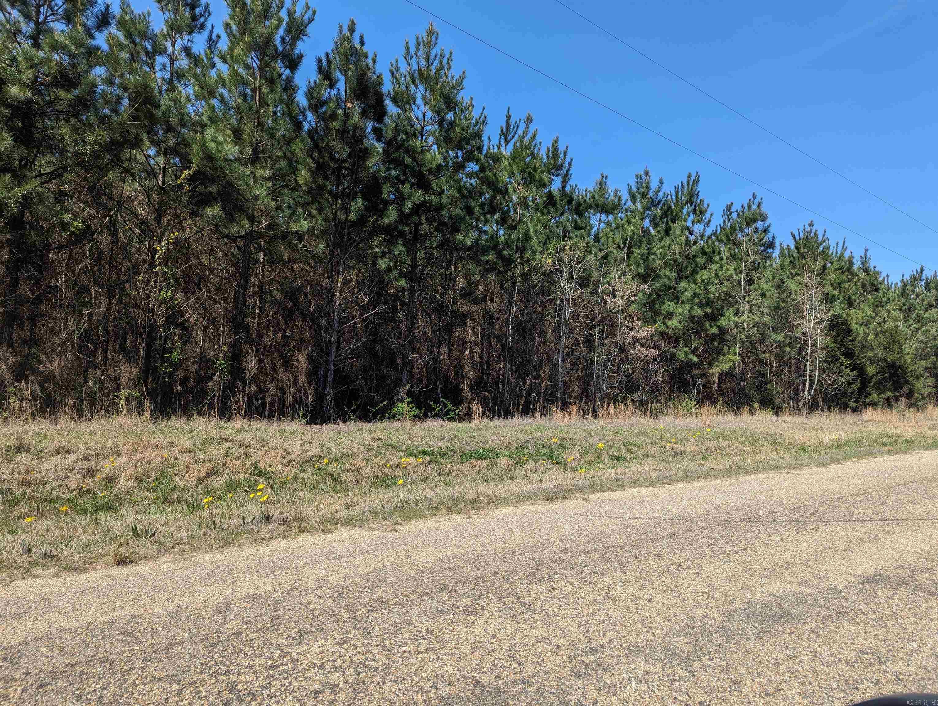 6.51 acres Ouachita 5  Stephens, AR