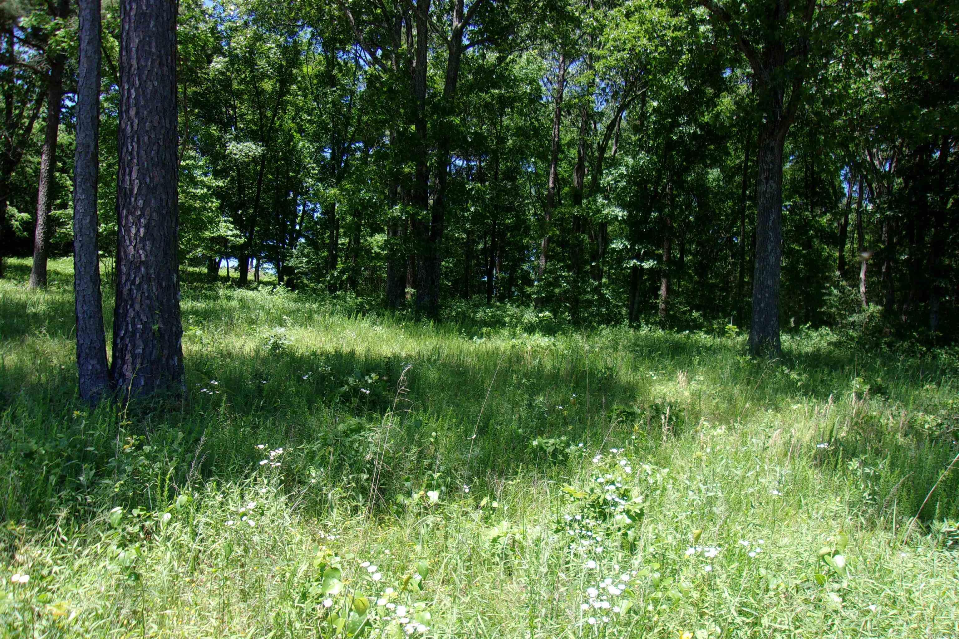 Lot 9 White Bluffs Court  Mountain Home, AR