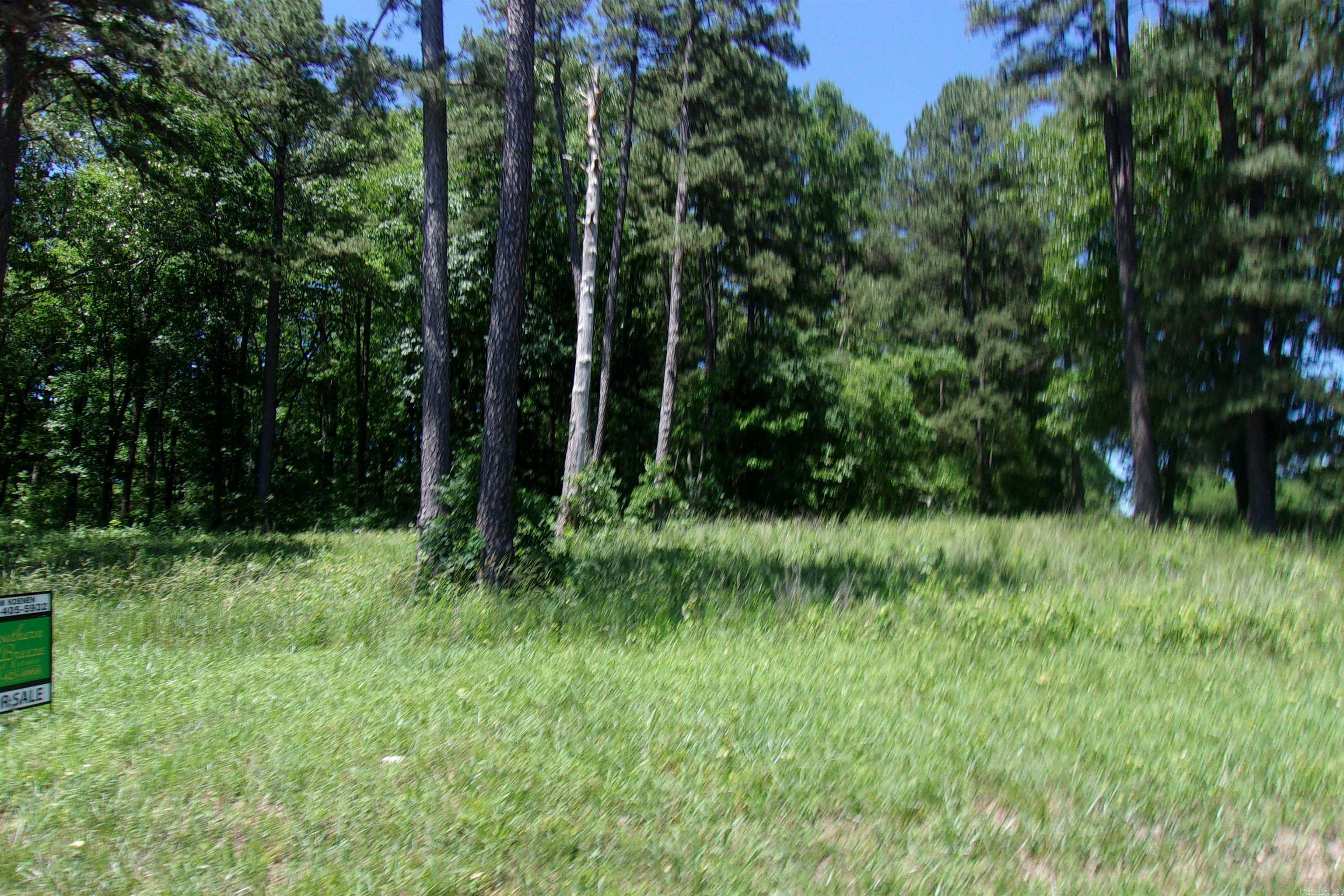Lot 9 White Bluffs Court  Mountain Home, AR