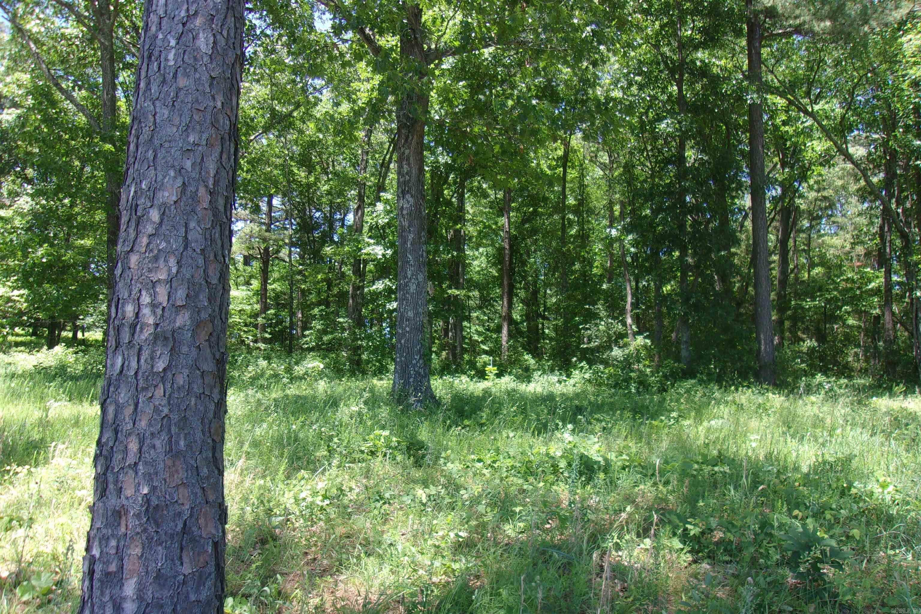 Lot 9 White Bluffs Court  Mountain Home, AR