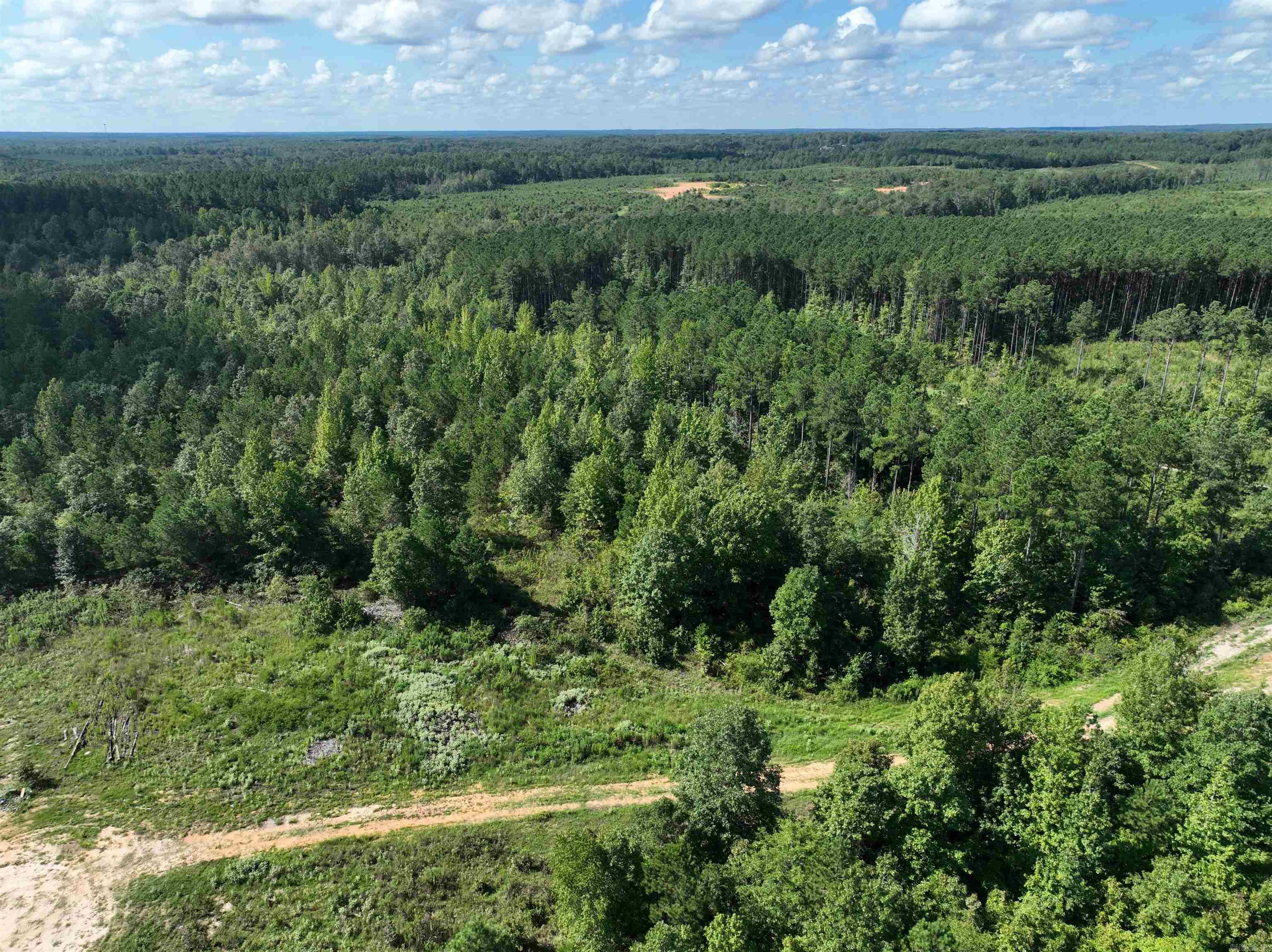 262 Mountain Pine Lot 39 Mabelvale, AR