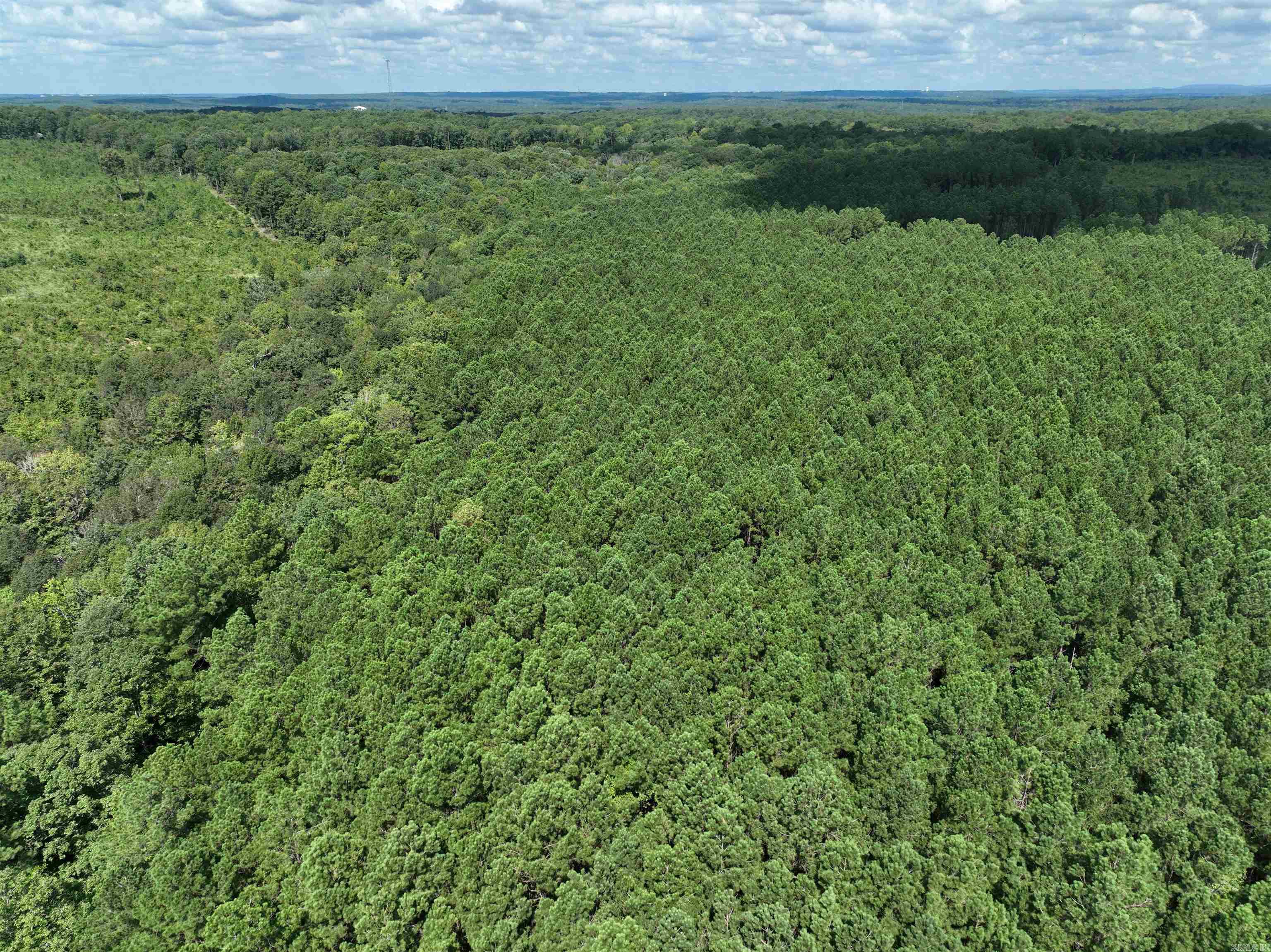 262 Mountain Pine Lot 39 Mabelvale, AR