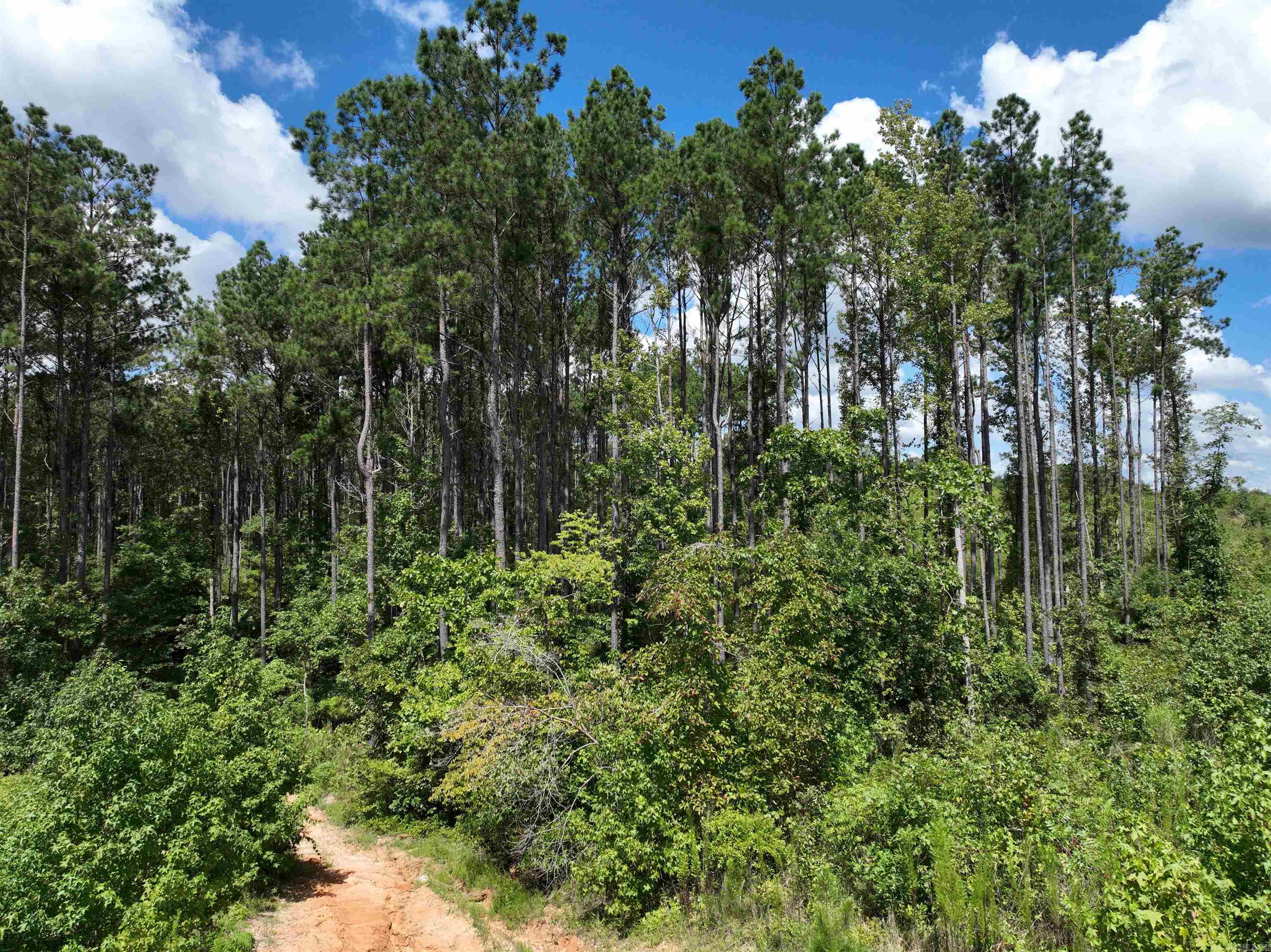 262 Mountain Pine Lot 39 Mabelvale, AR
