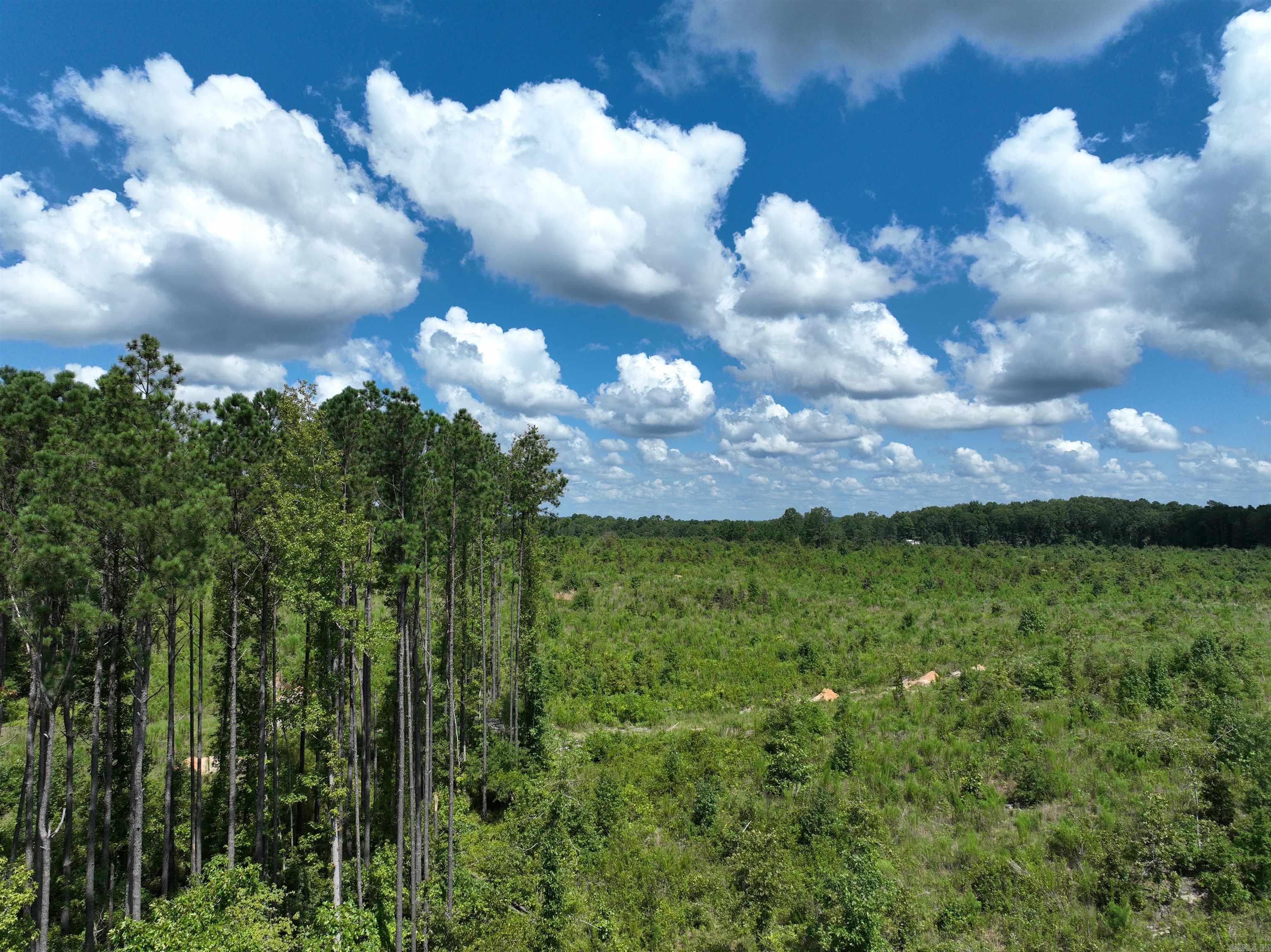 262 Mountain Pine Lot 39 Mabelvale, AR