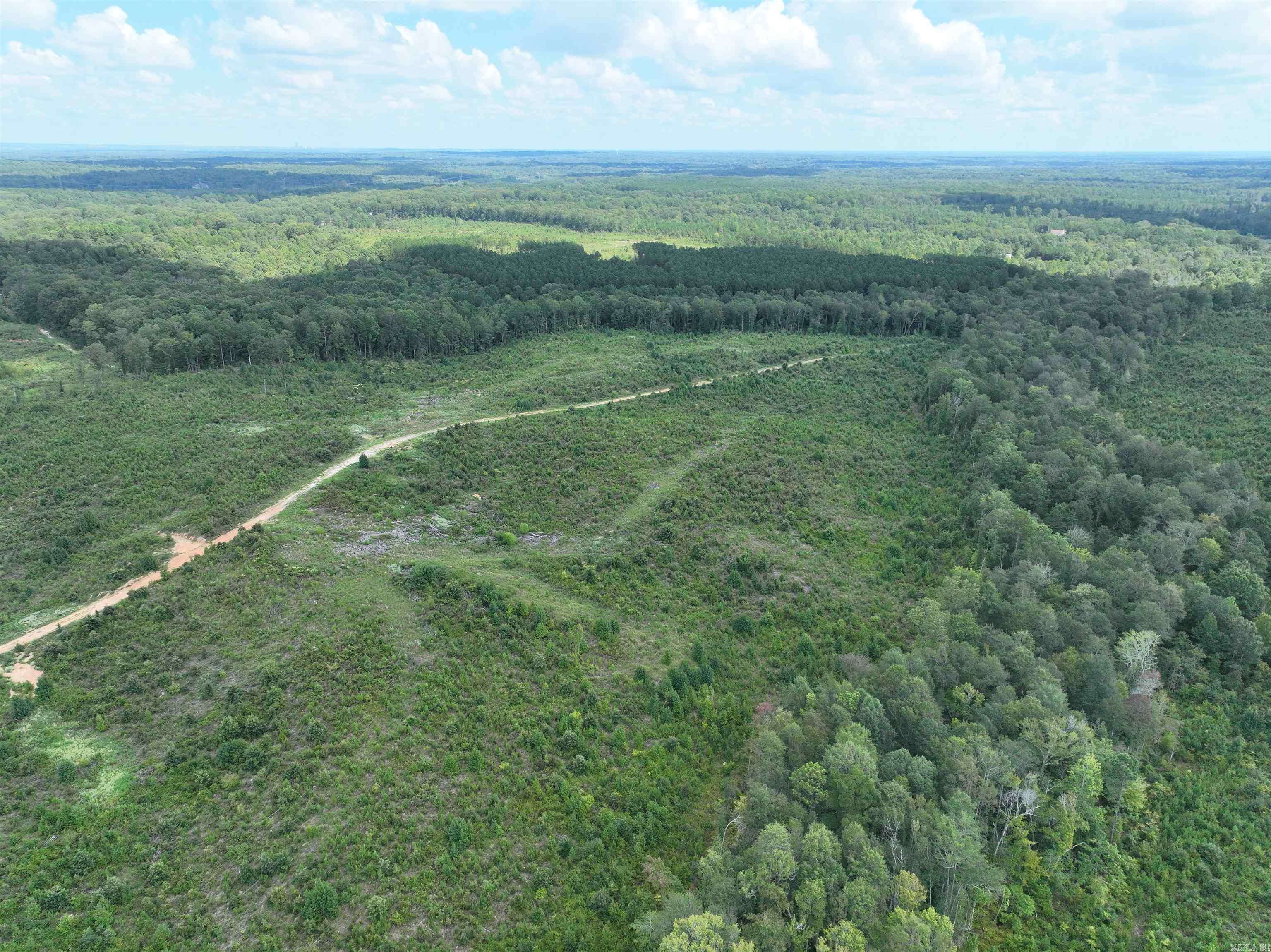 262 Mountain Pine Lot 39 Mabelvale, AR